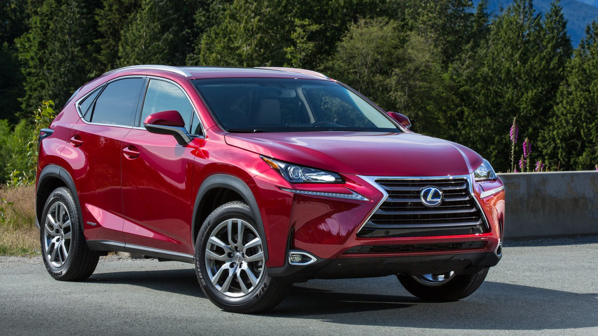2020 Lexus NX300h. Photo: Lexus