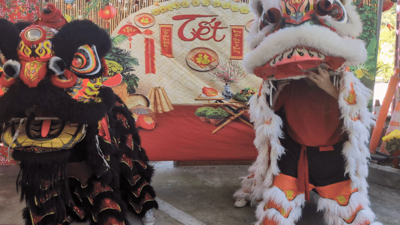 Lion dancers bob their heads.