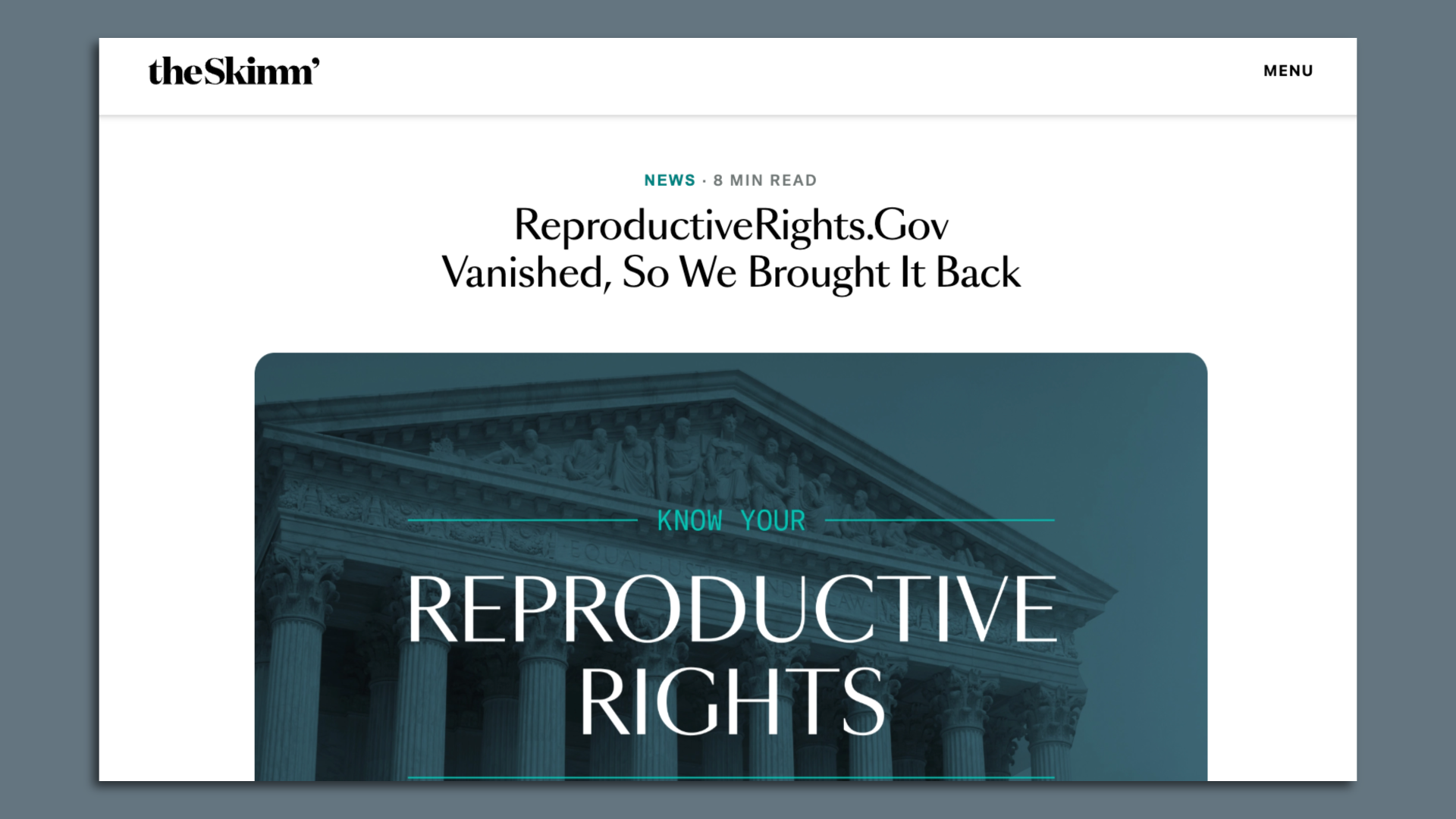 A screenshot of a webpage hosted by theSkimm, which reads, "ReproductiveRights.gov vanished, so we brought it back."