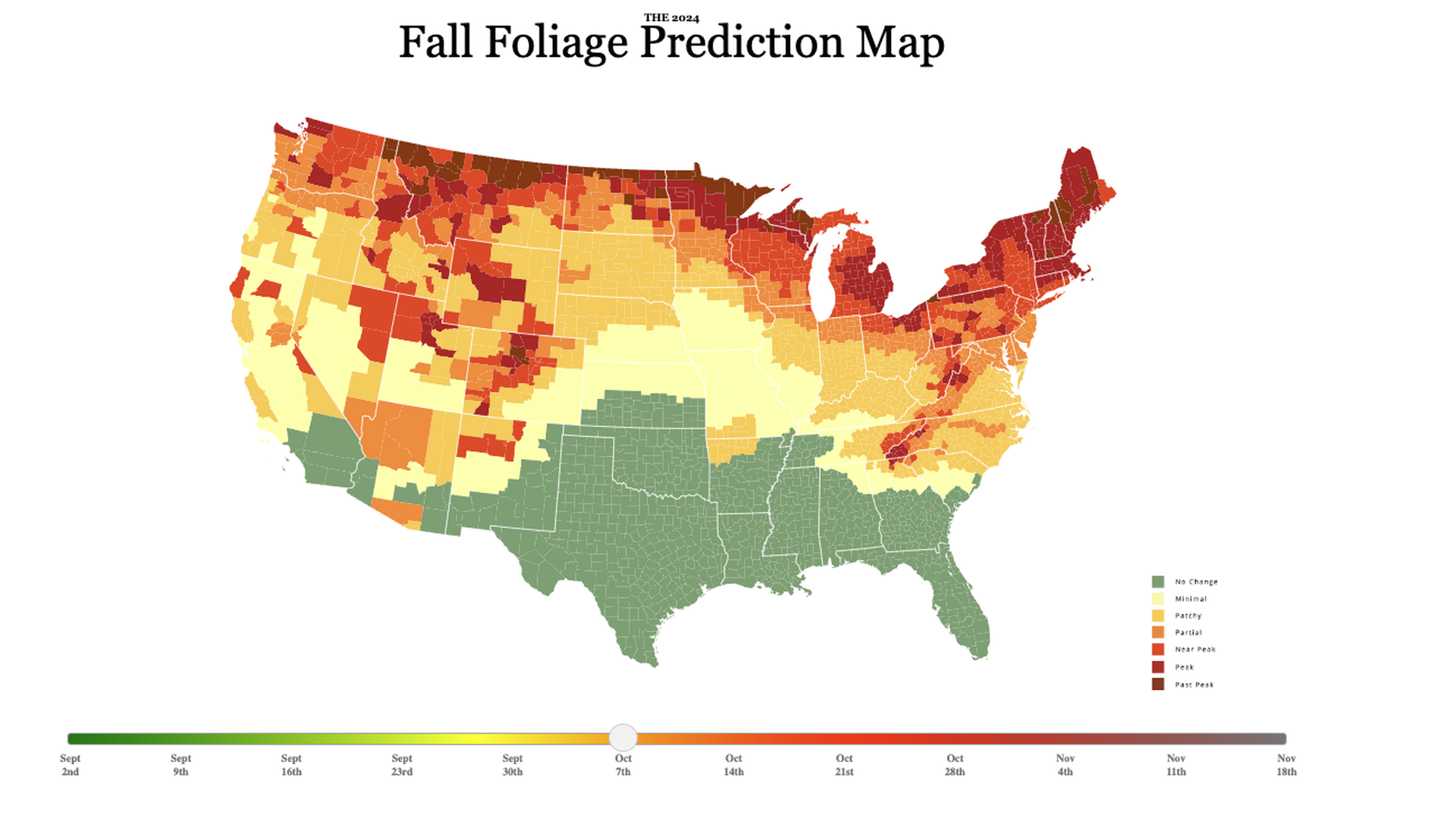 A map of predicted 2024 peak fall foliage in the US. 