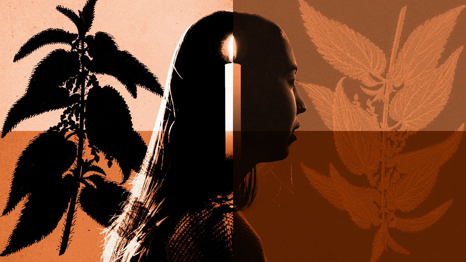 Illustrated collage of a silhouetted woman, candle and nettle