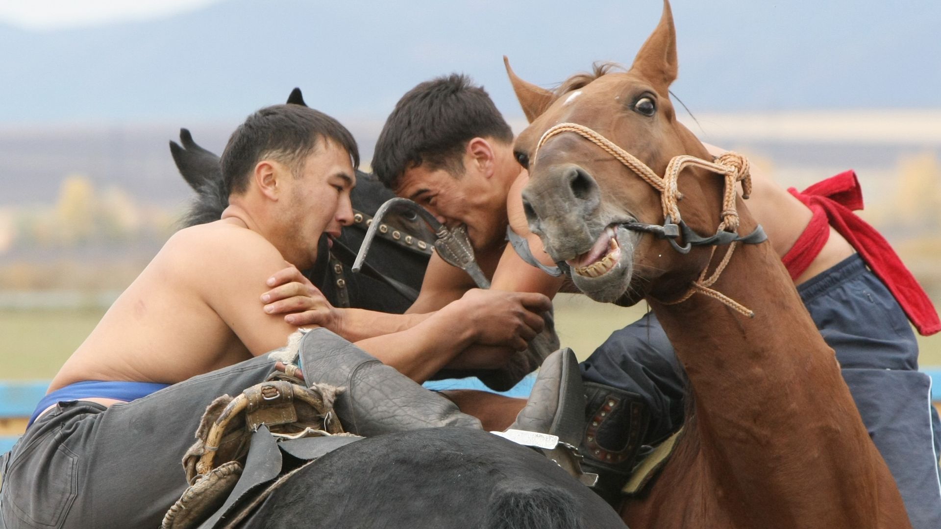 Central Asia cowboys are in their last throes