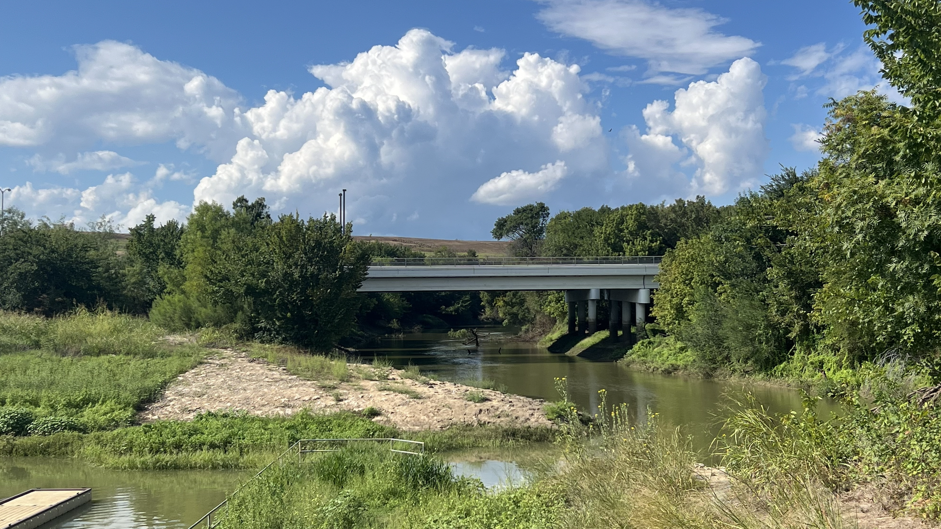 A stream under an overpass, surrounded by trees and greenery