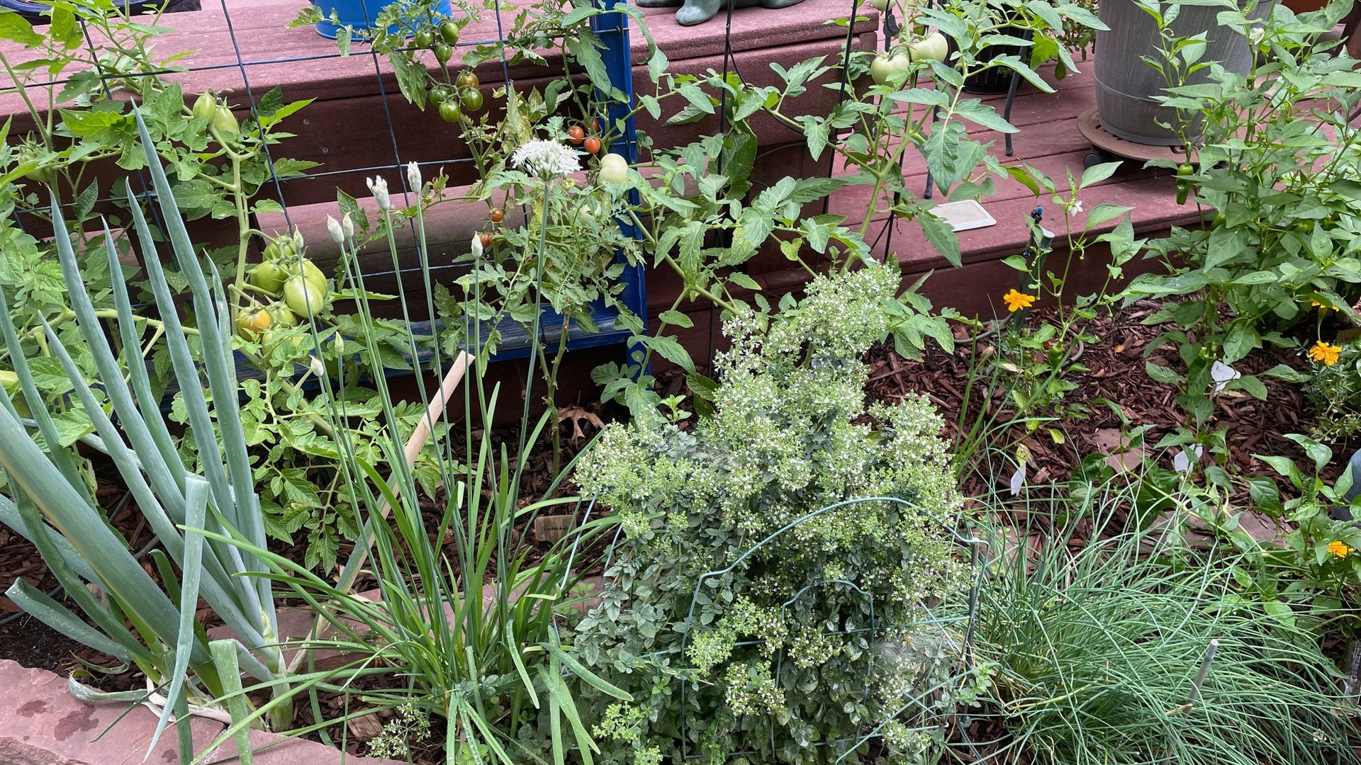 herb garden