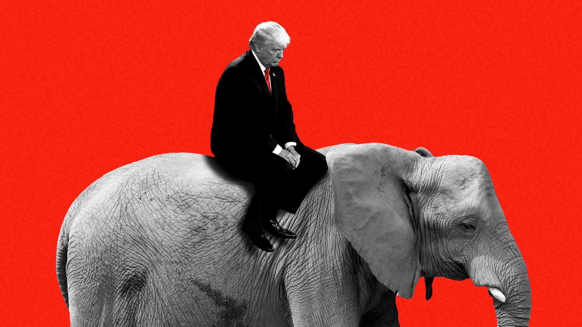 Photo illustration of President Donald Trump riding on the back of an elephant