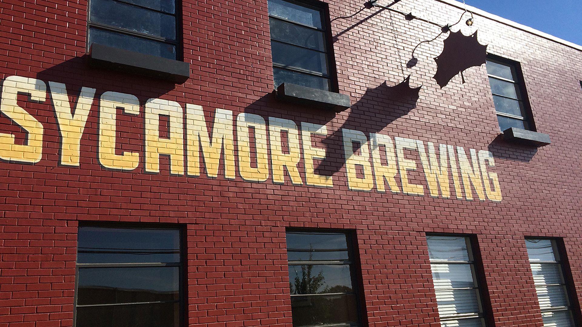 sycamore-brewing