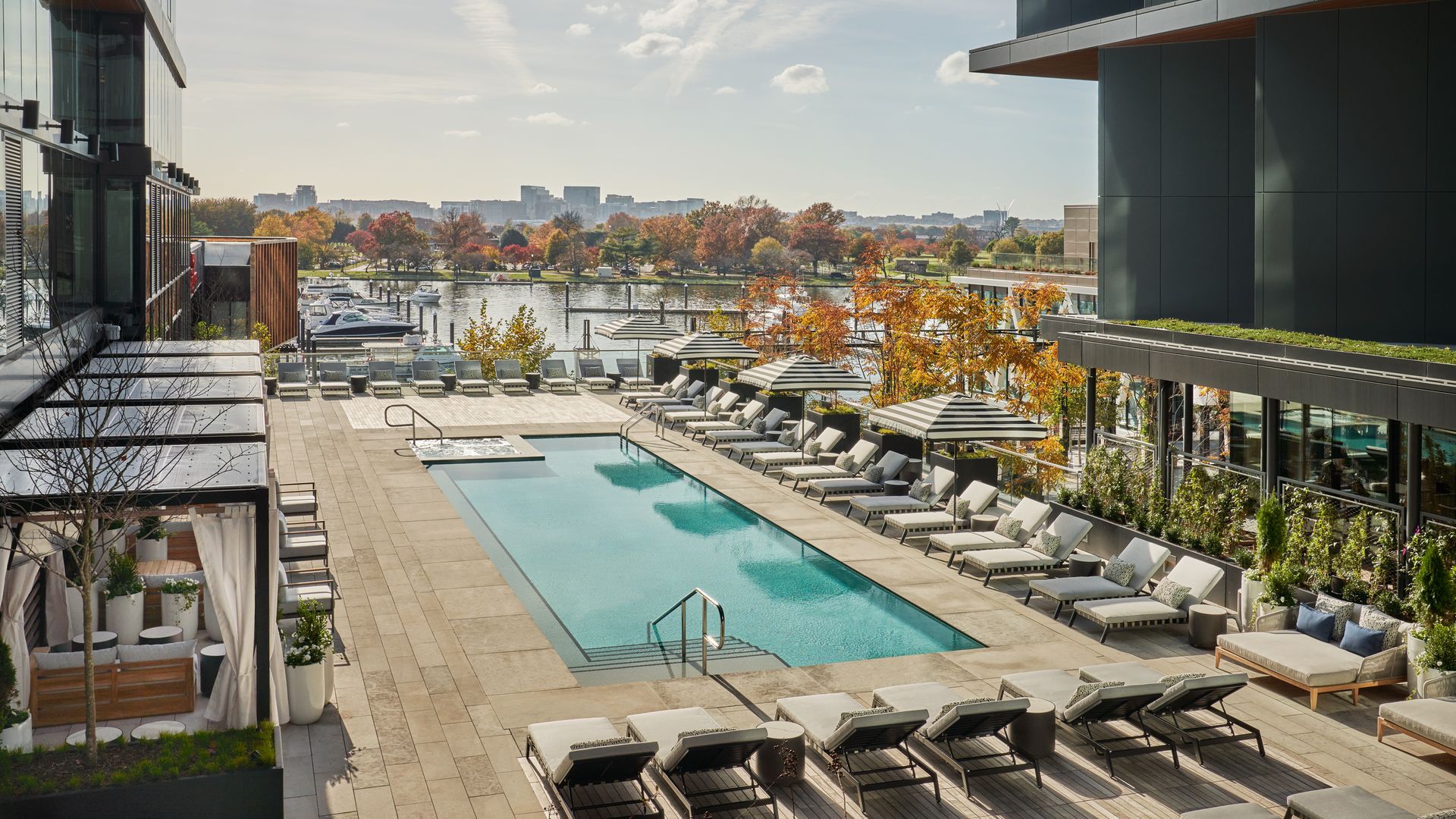 An aerial view of the Pendry pool on a sunny day, with rows of loungers.
