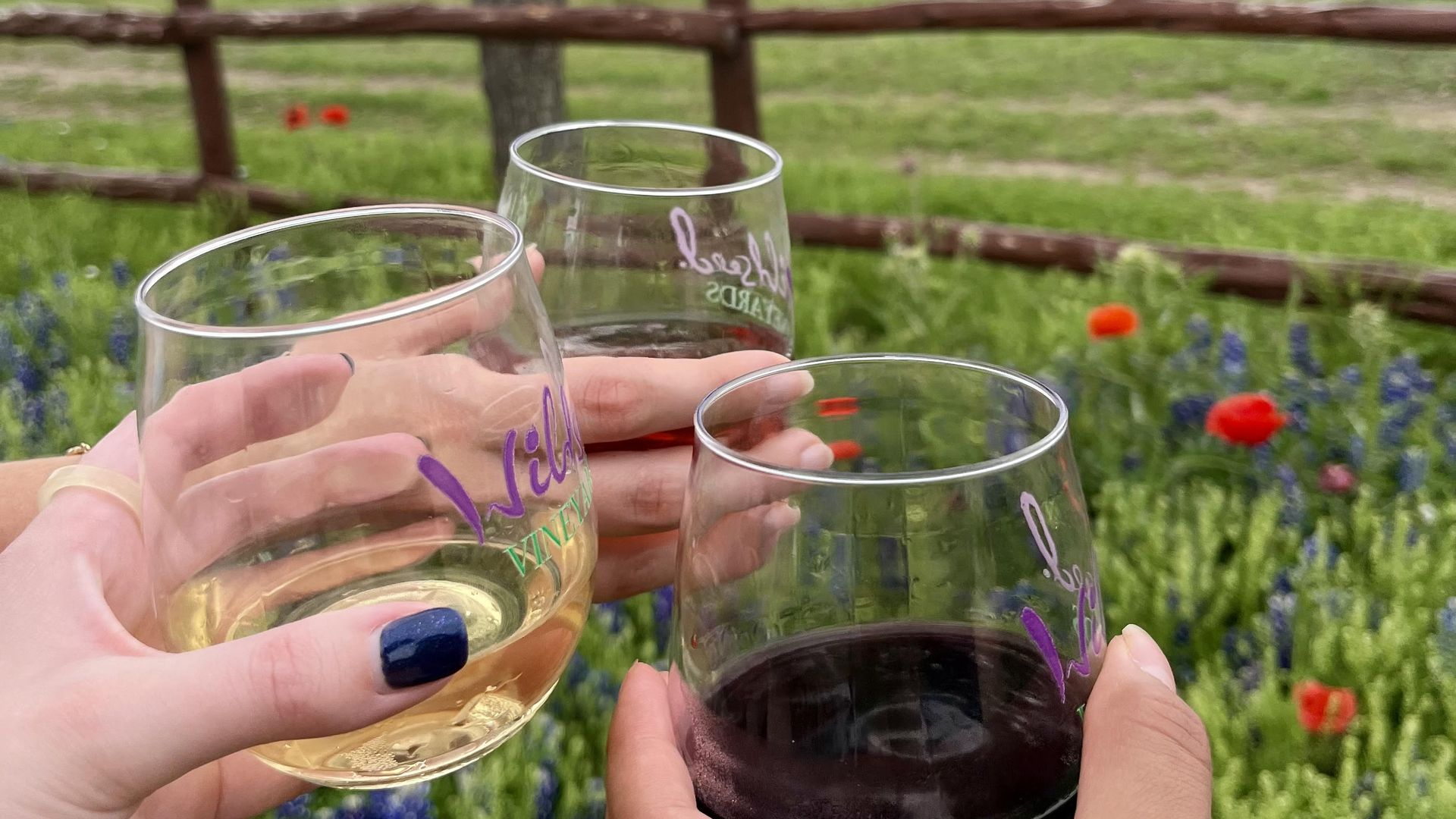 Three hands cheering glasses of wine in front of bright grasses with blue and red wildflowers.