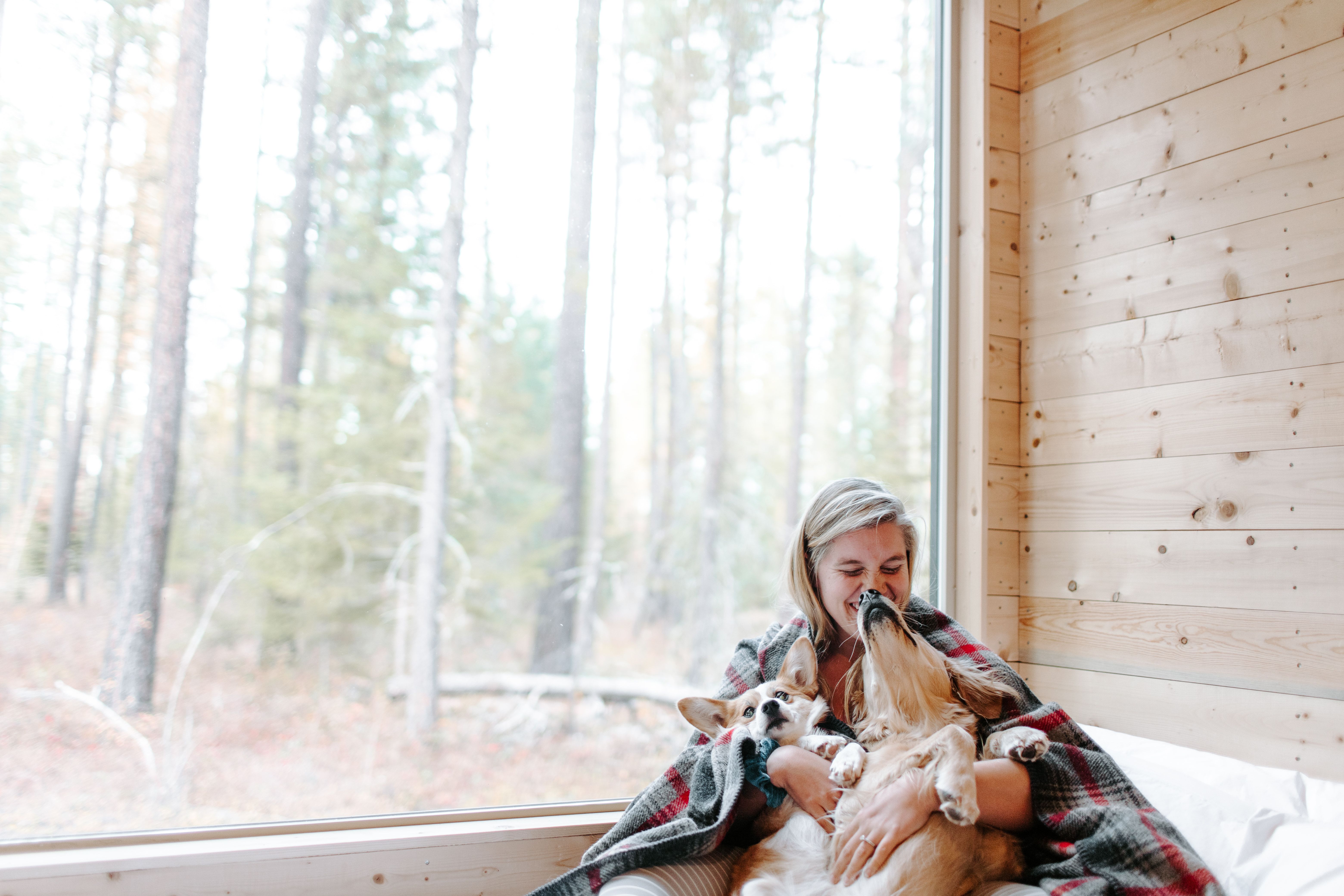 A woman cuddles with two dogs by a big window with tall trees seen through it.