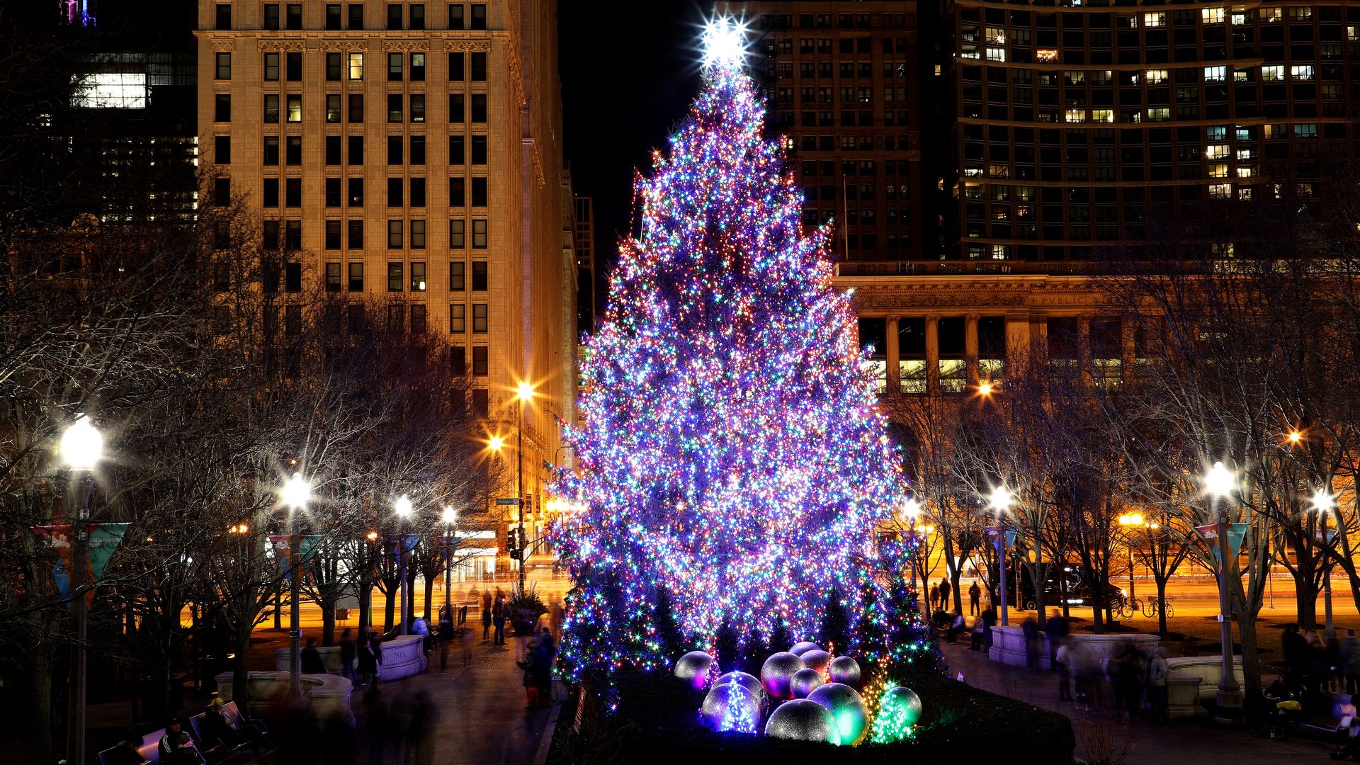 The Millennium Park Christmas Tree. 