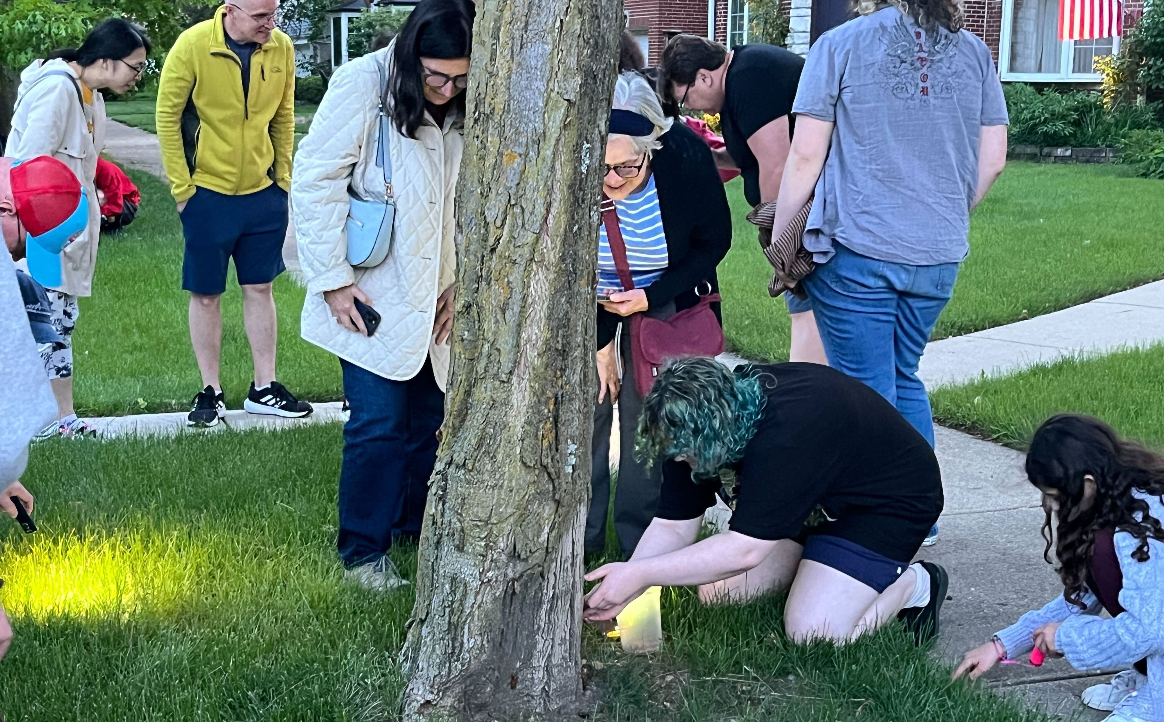 Photo of people surrounding a tree looking at bugs 