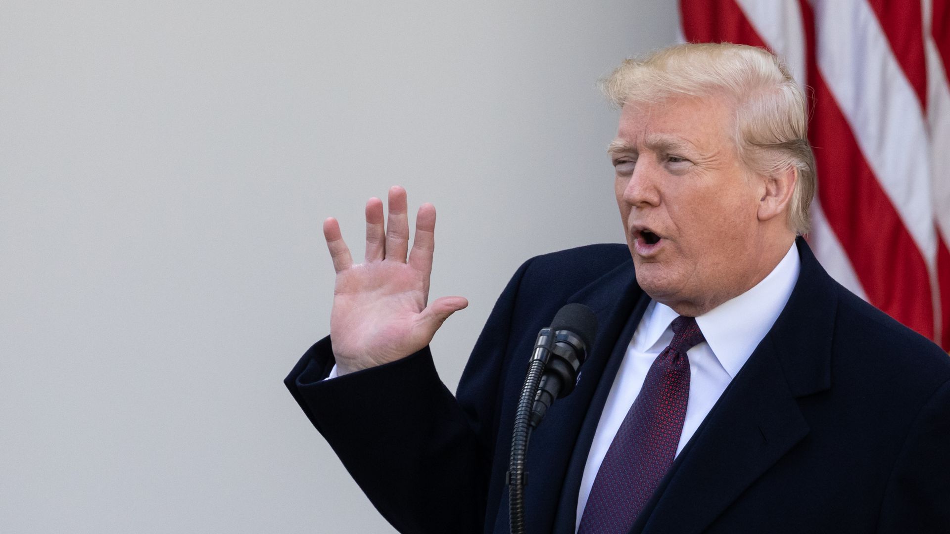 President Trump speaks with his right hand raised