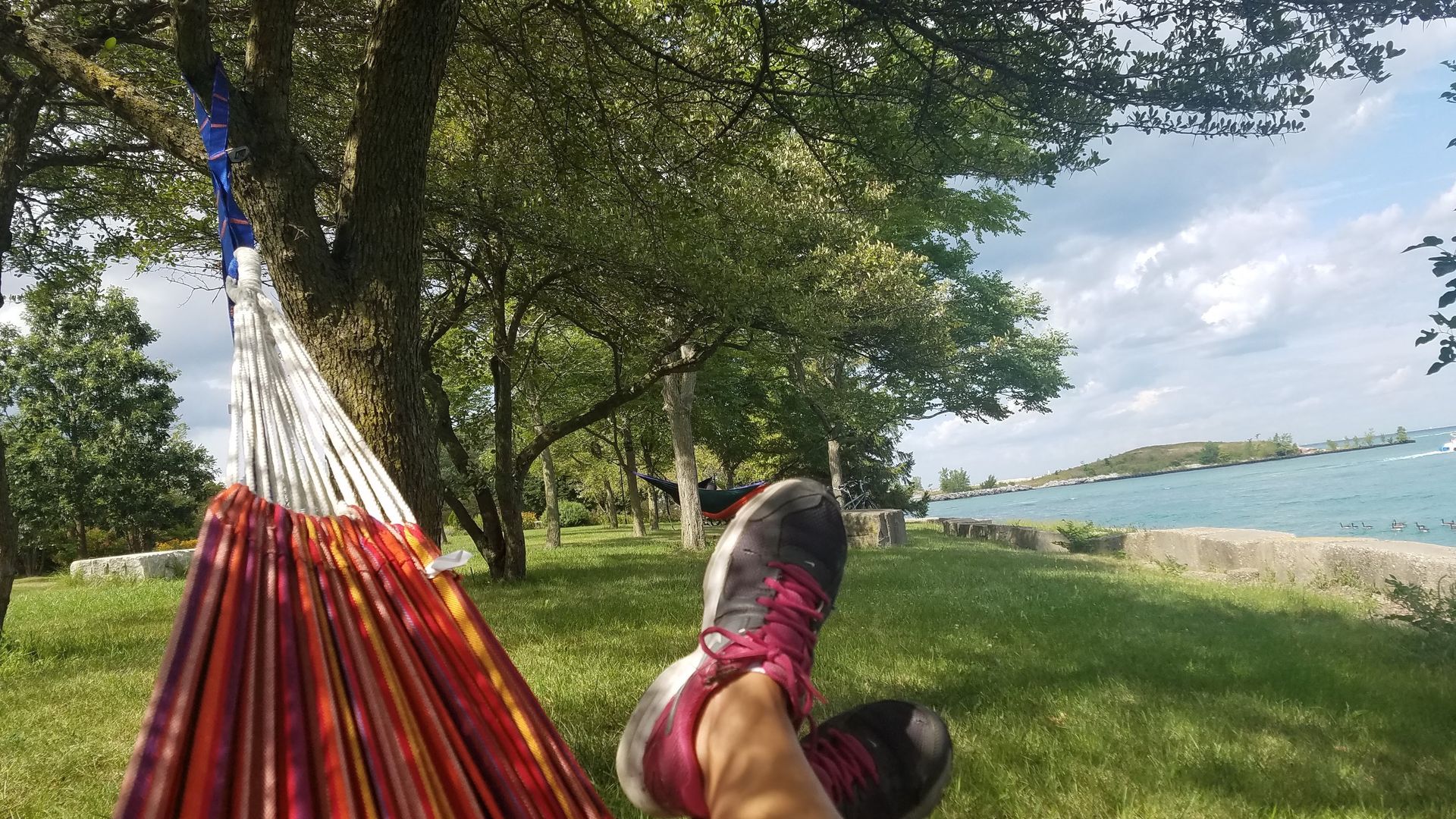 Photo of a woman in a hammock under a tree.