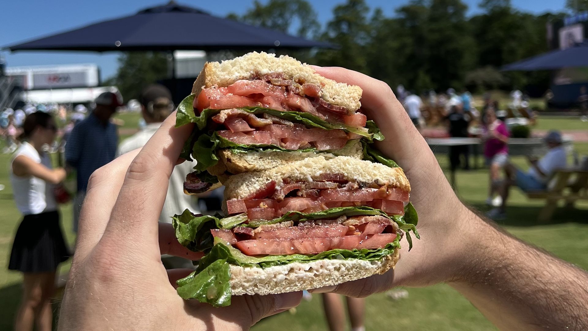 The BLT from Merritt's Grill in Raleigh, cut in half and stacked