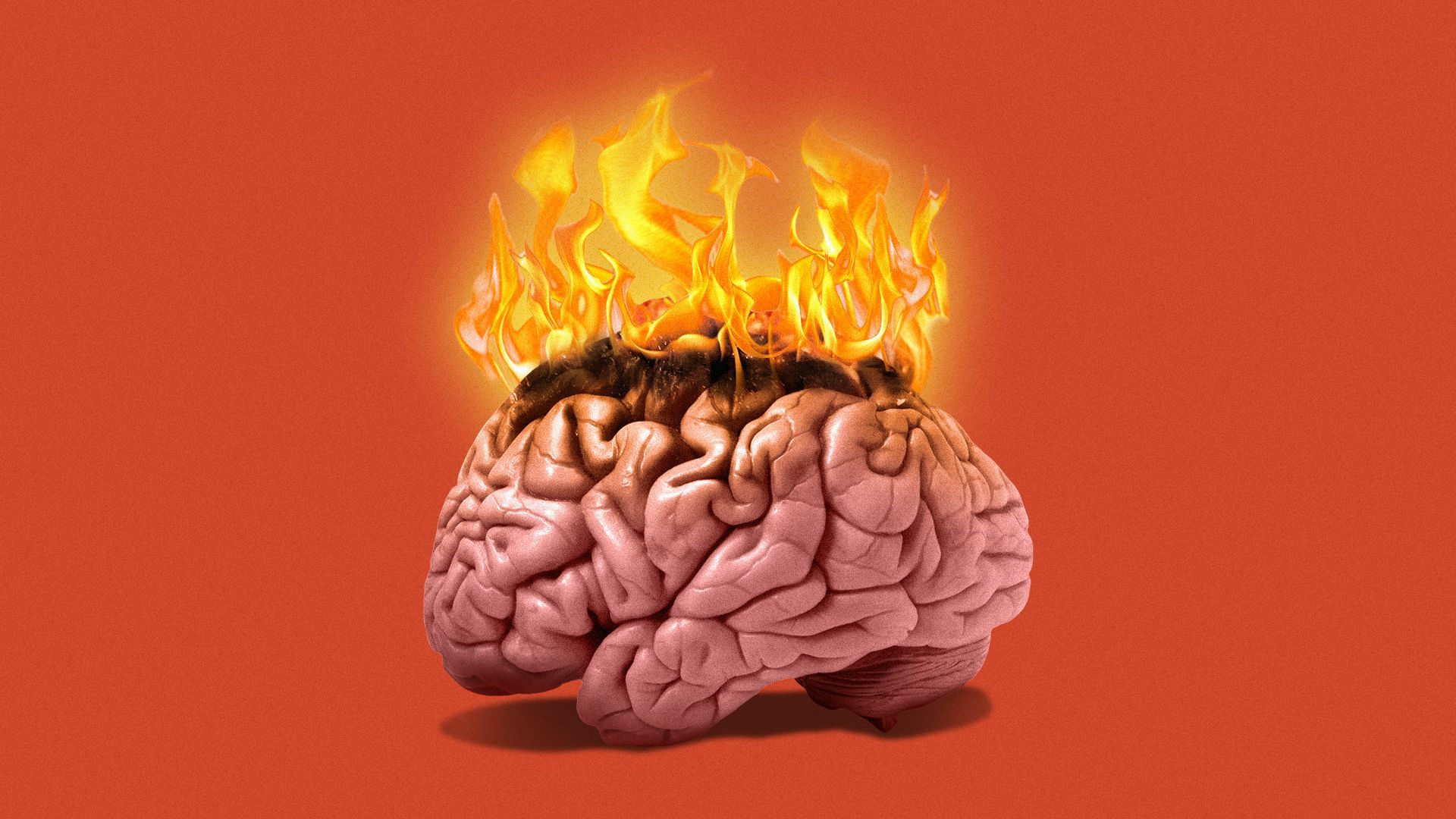 Illustration of a brain on fire.
