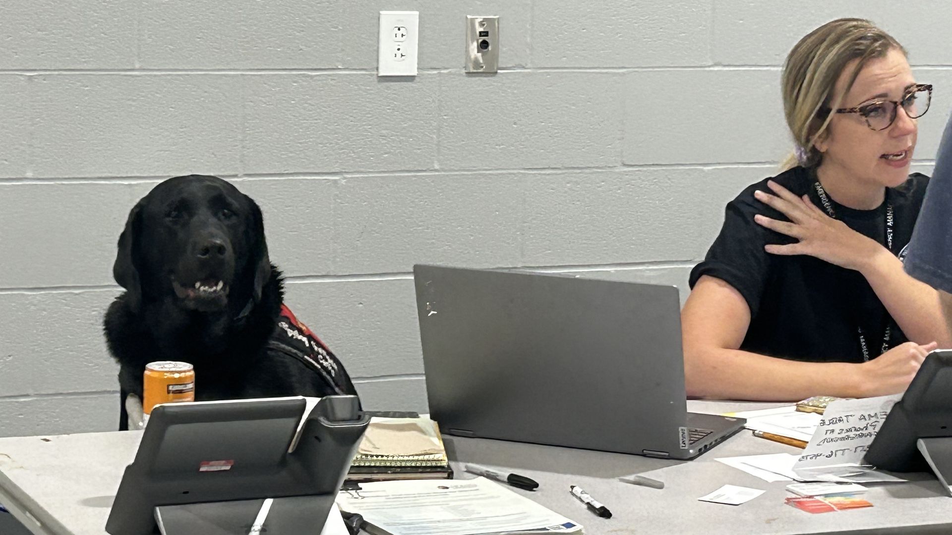 A black Labrador sits at a cluttered desk in a gray-walled room; on the right, a woman with glasses speaks, hand on her chest, with laptops, papers, and an orange can on the desk.