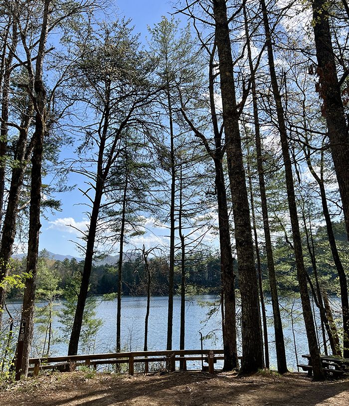 van life charlotte camping