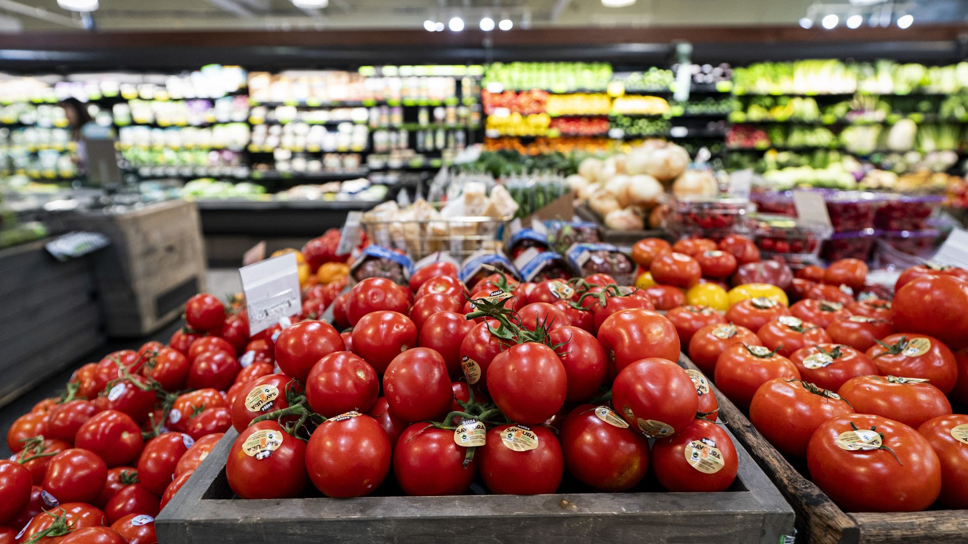 Tomatoes displayed in the produce section of a grocery store in Washington, D.C.