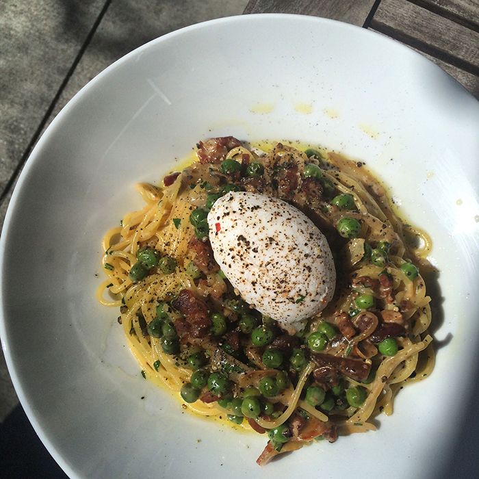 carbonara-vivace-charlotte