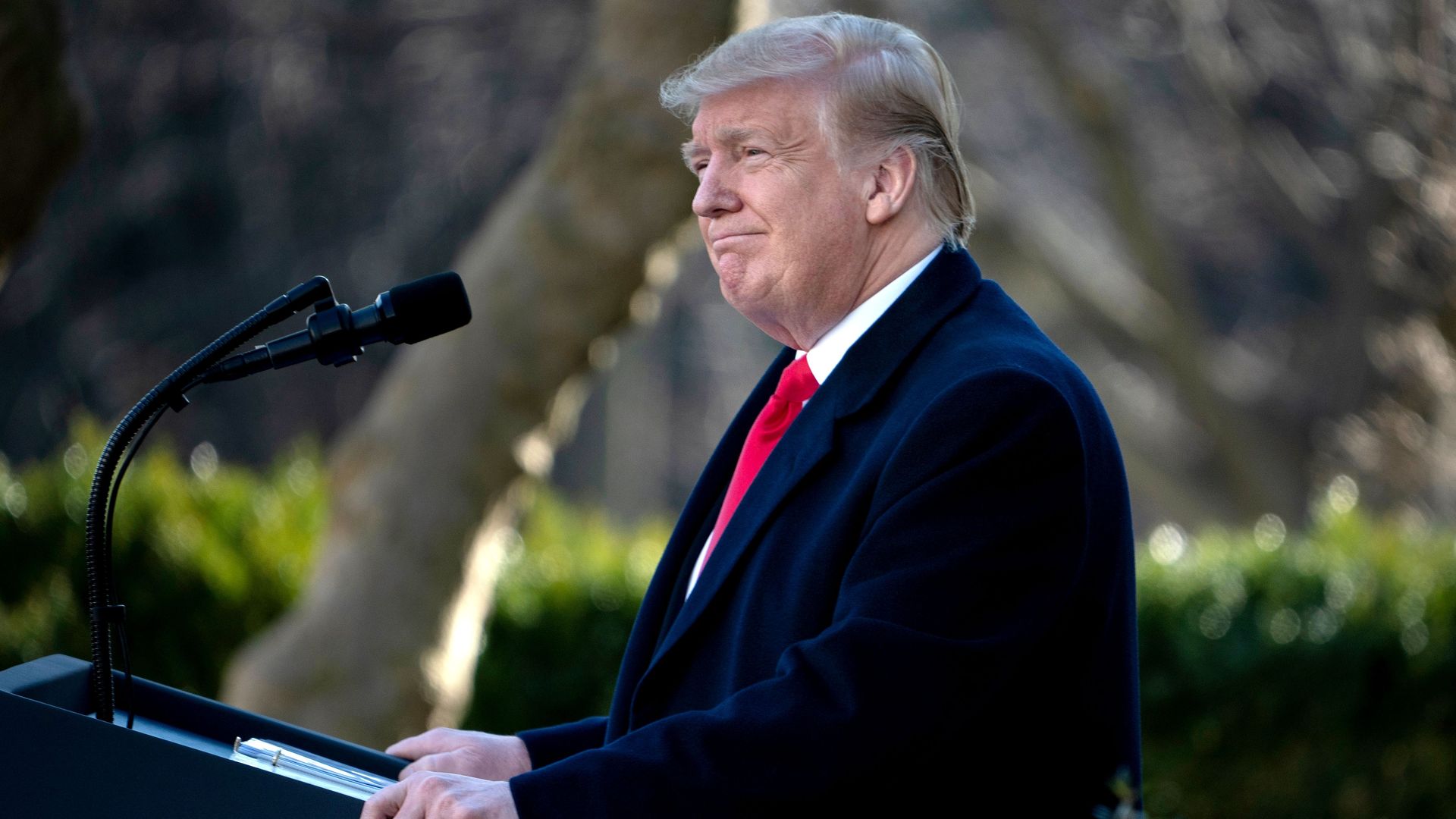 Donald Trump in the Rose garden
