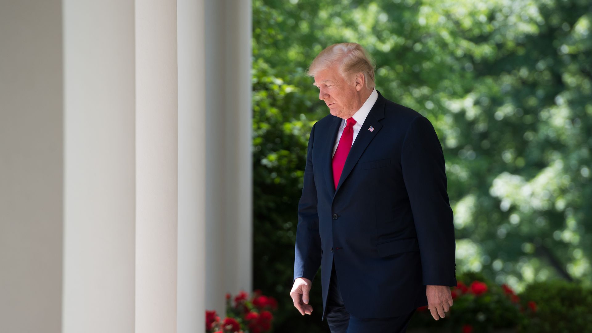 Donald Trump walks outside the White House in front of green trees and white columns.