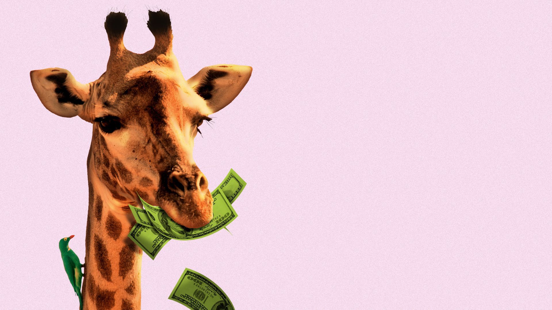 Illustration of a giraffe eating money