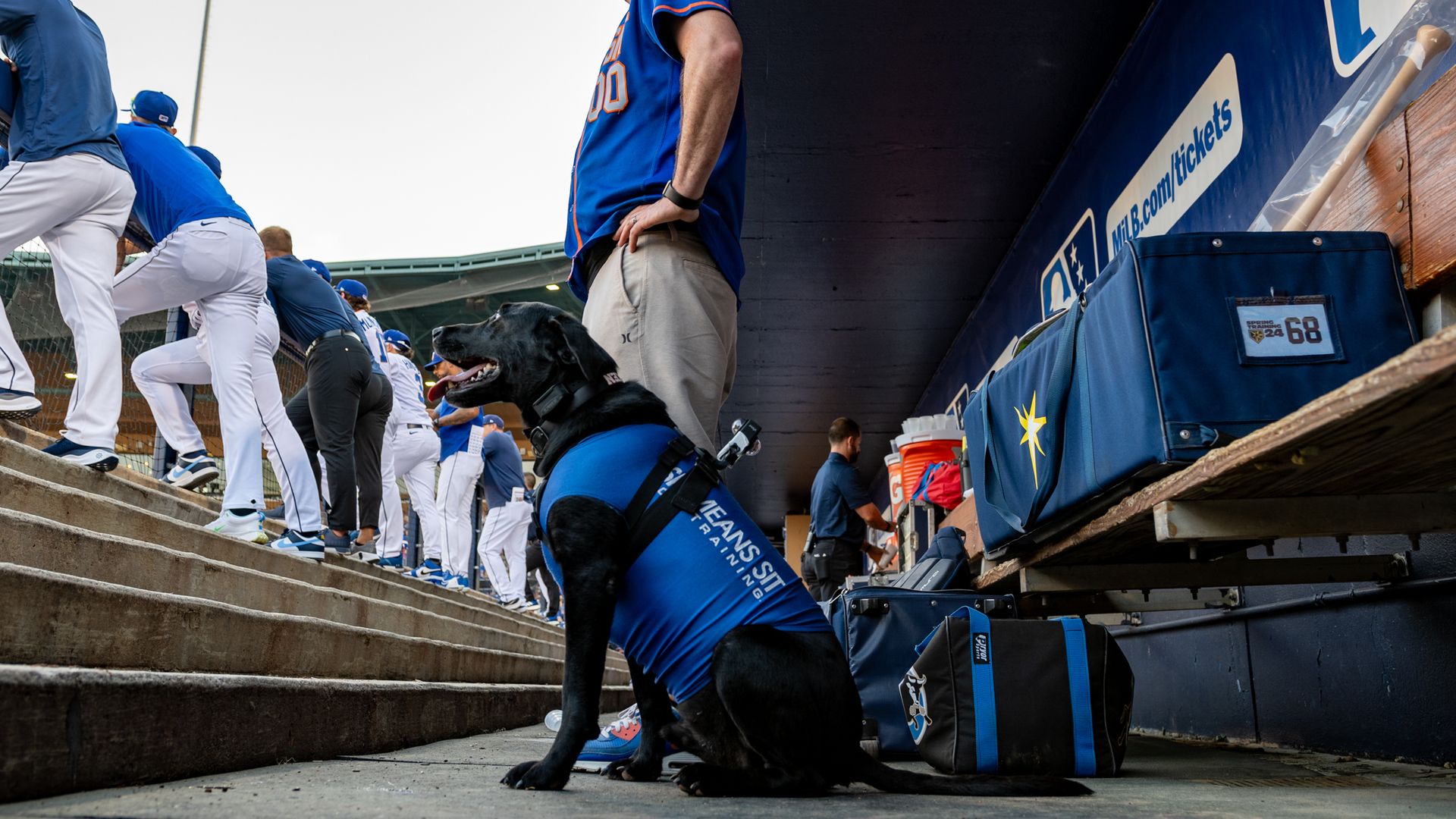 Ripken, in the Durham Bulls dugout