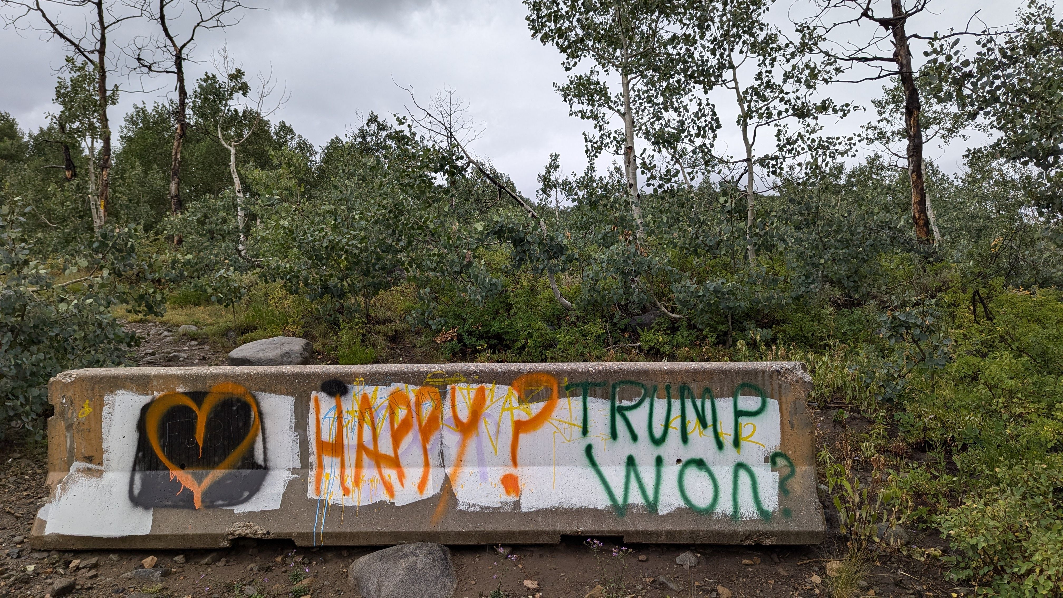 Graffiti on a concrete barrier in a mountain grove states: "Happy?" in orange paint and "Trump won?" in green paint.
