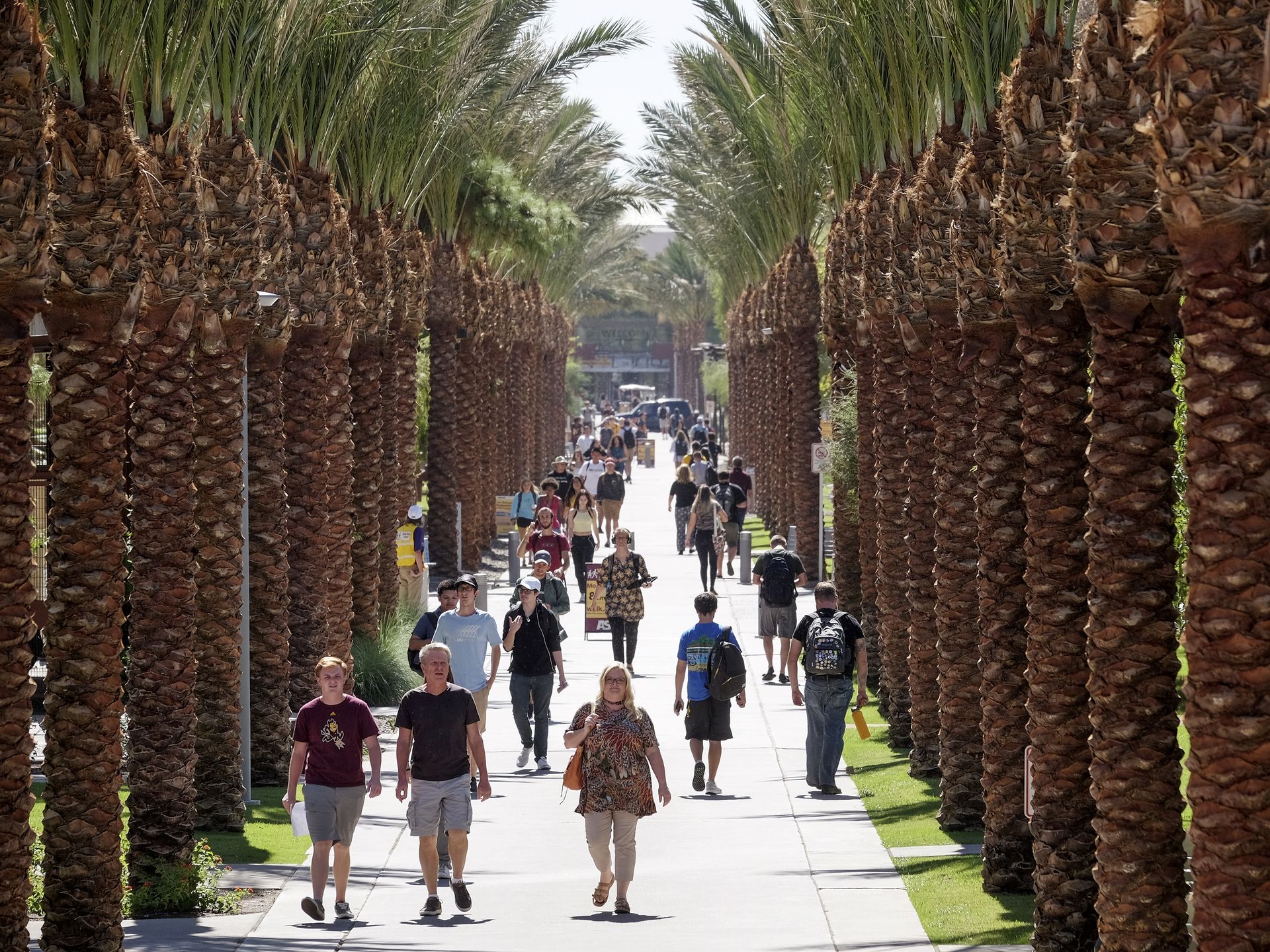 Palm Walk at ASU