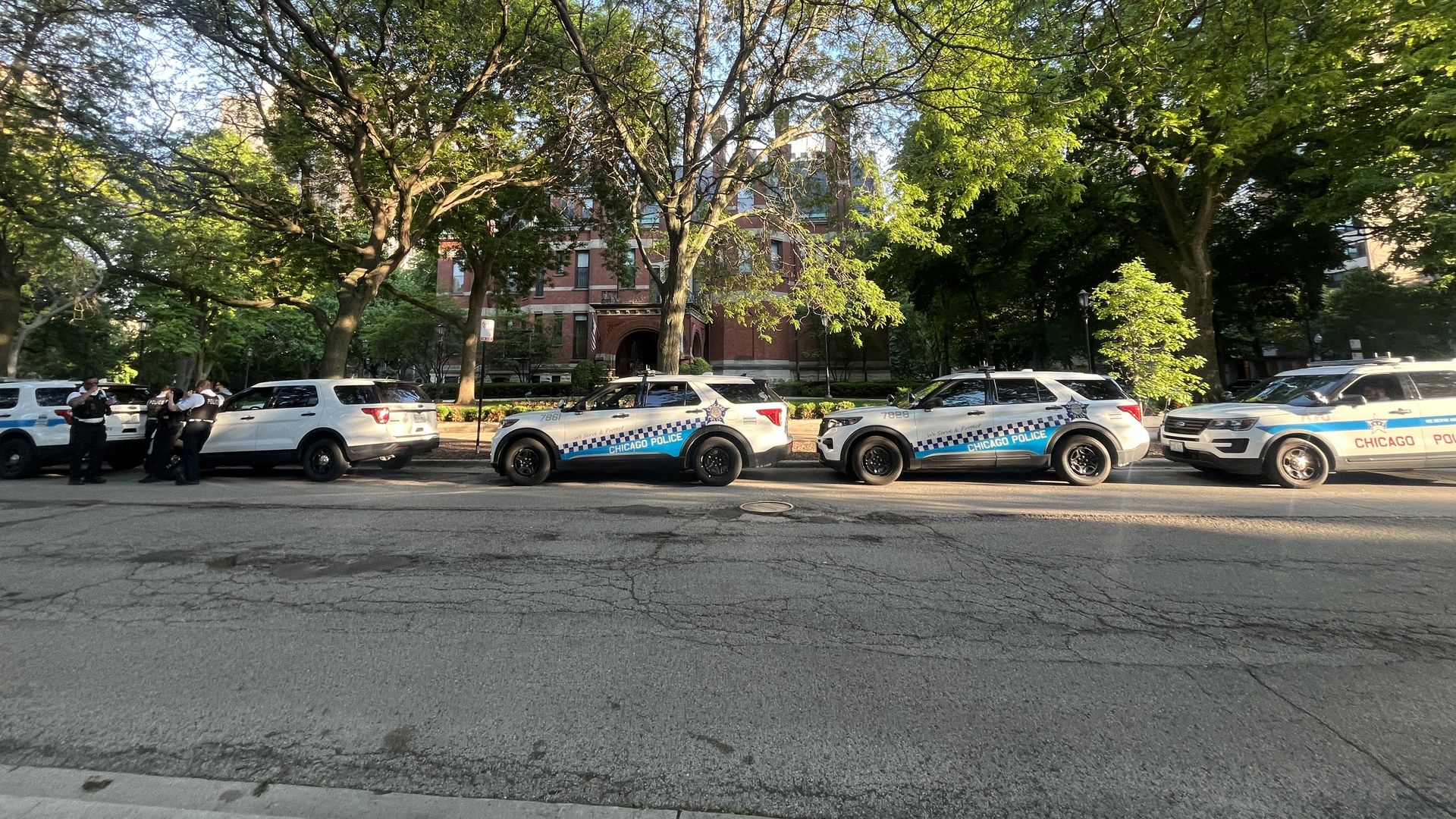 Tree-lined city street with Chicago Police cars parked along the curb. A brick building peeks through the leafy branches while officers stand near the vehicles on a sunny day.