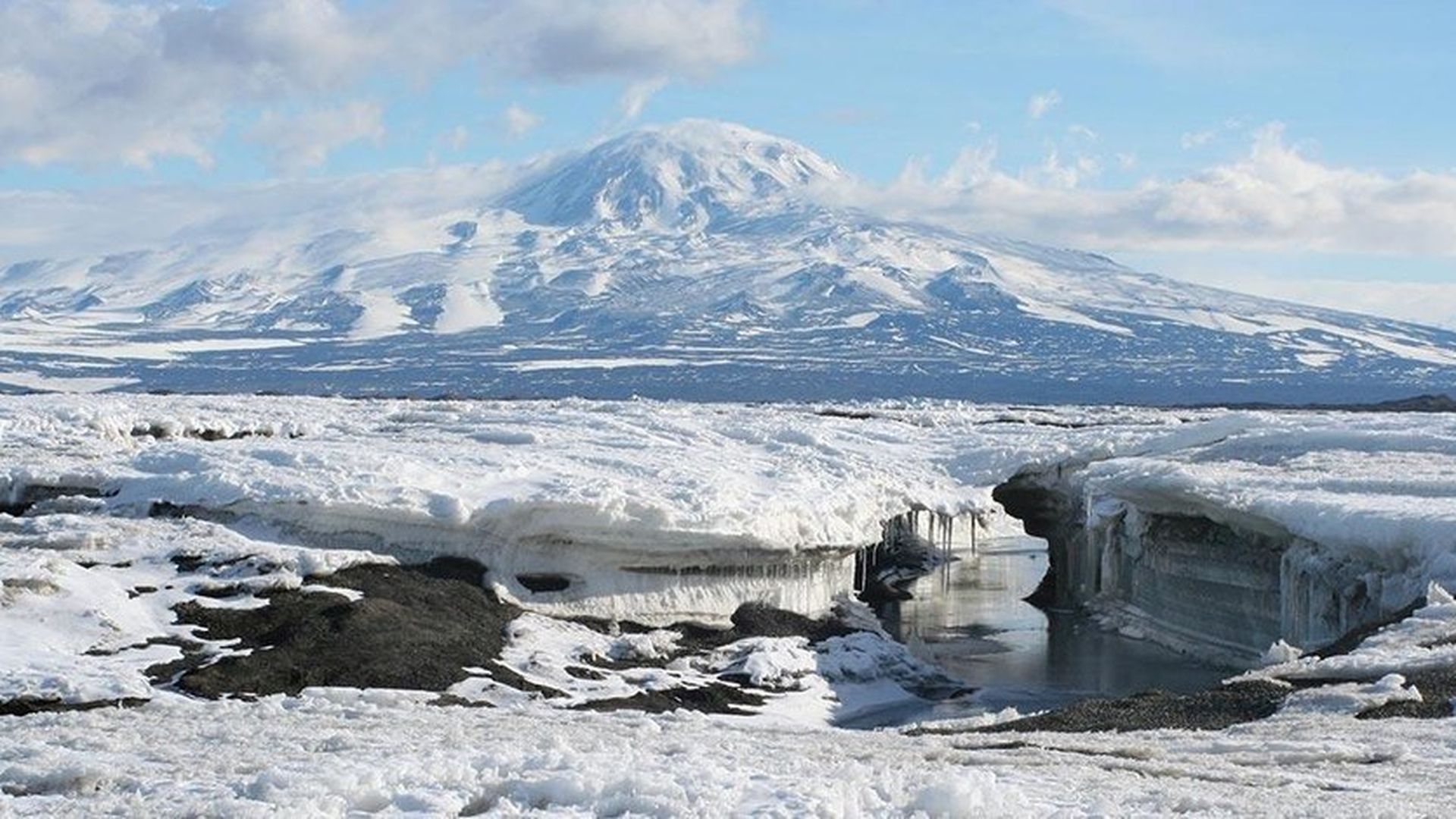 Scientists Sequence Century-old Antarctic Bacteria