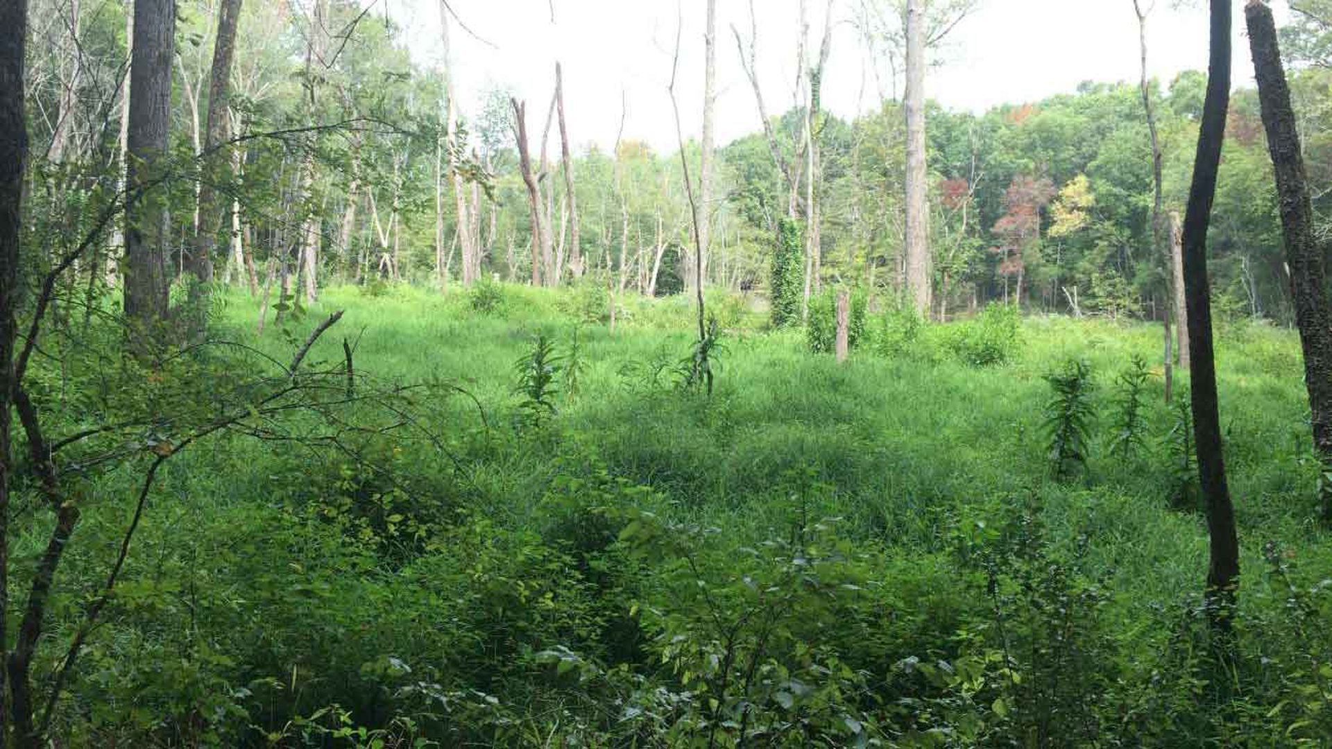 charlotte-area-hiking-trails