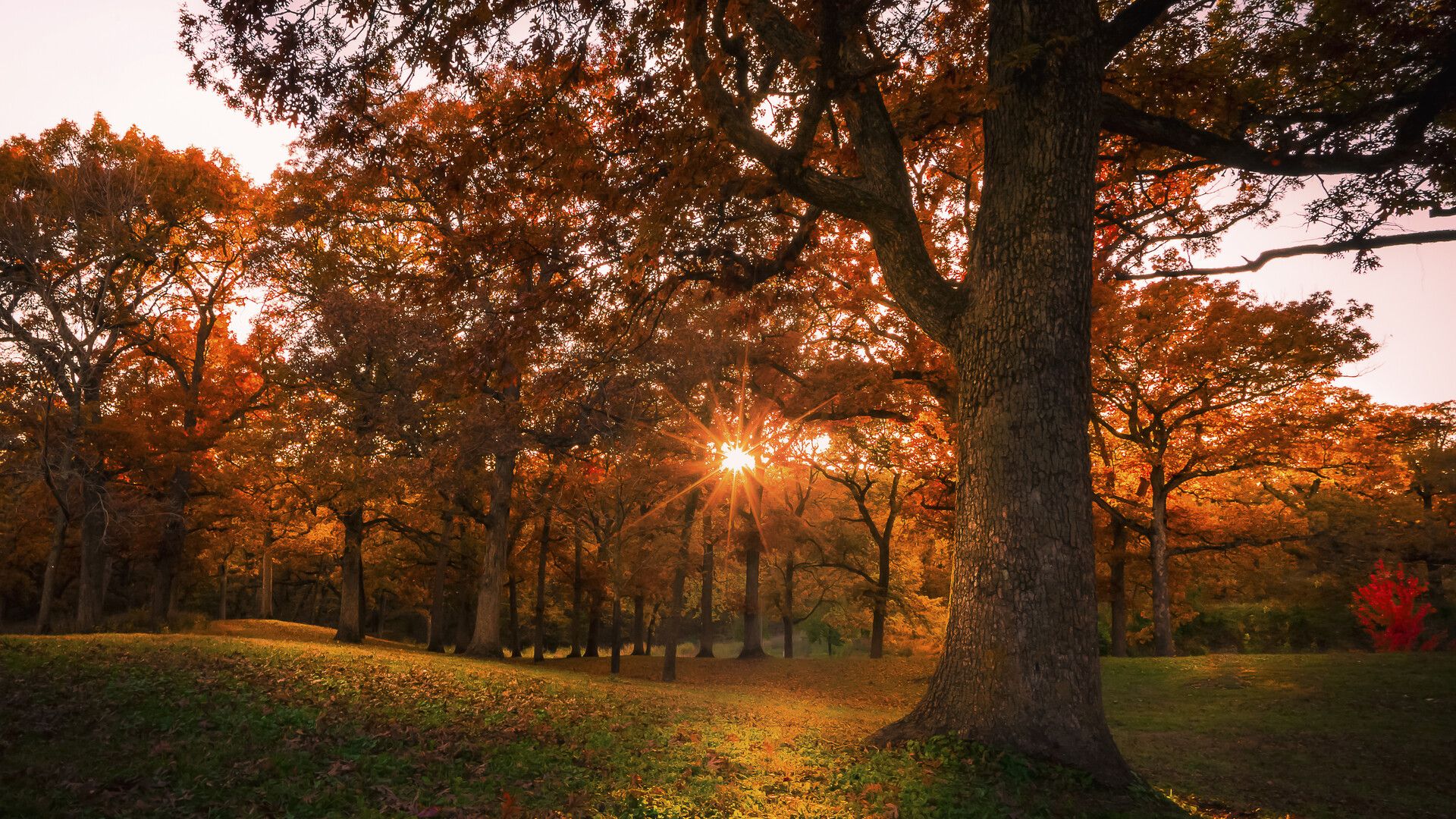 A photo of a Des Moines park.