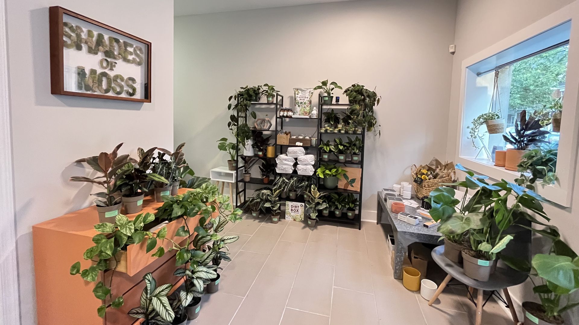 Award-winning plant shop sprouts up in Richmond - Axios Richmond