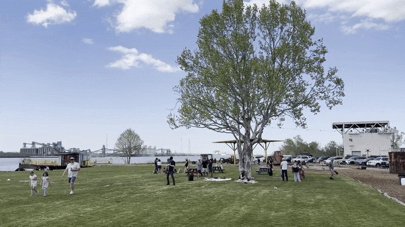 Families and friends gather in a wide green lawn next to the Mississippi River.