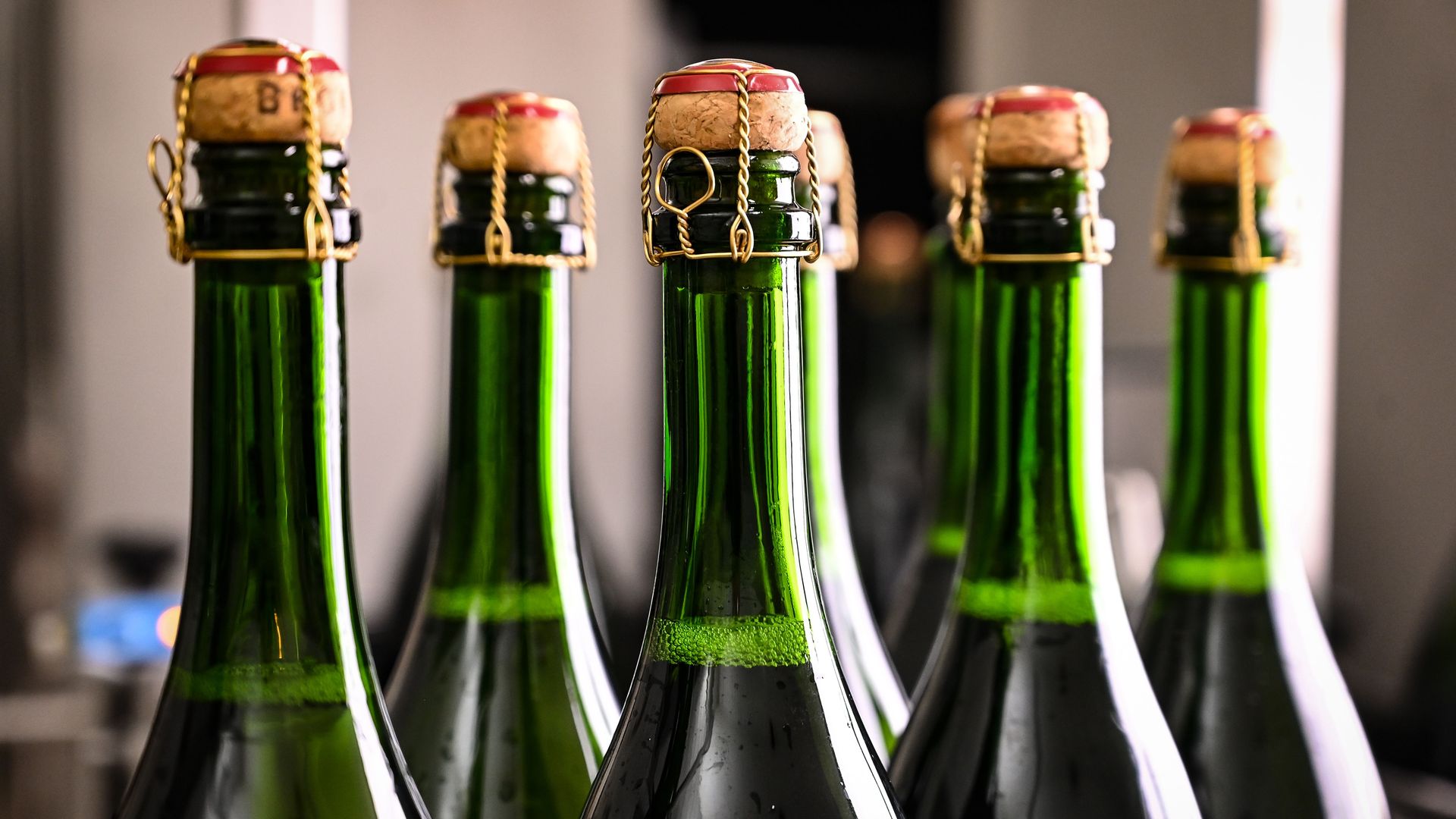 A close-up shot of green-glass bottles of champagne