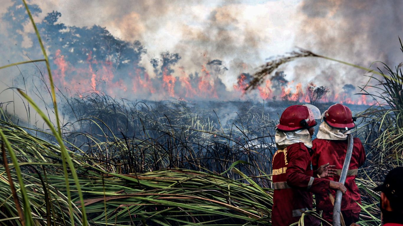 Tropical forest loss in 2021 emitted as much CO2 as India