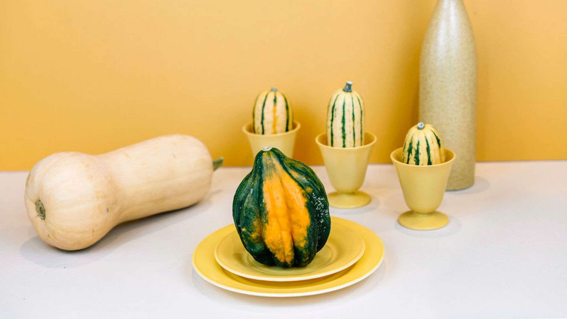 Somebody People Denver