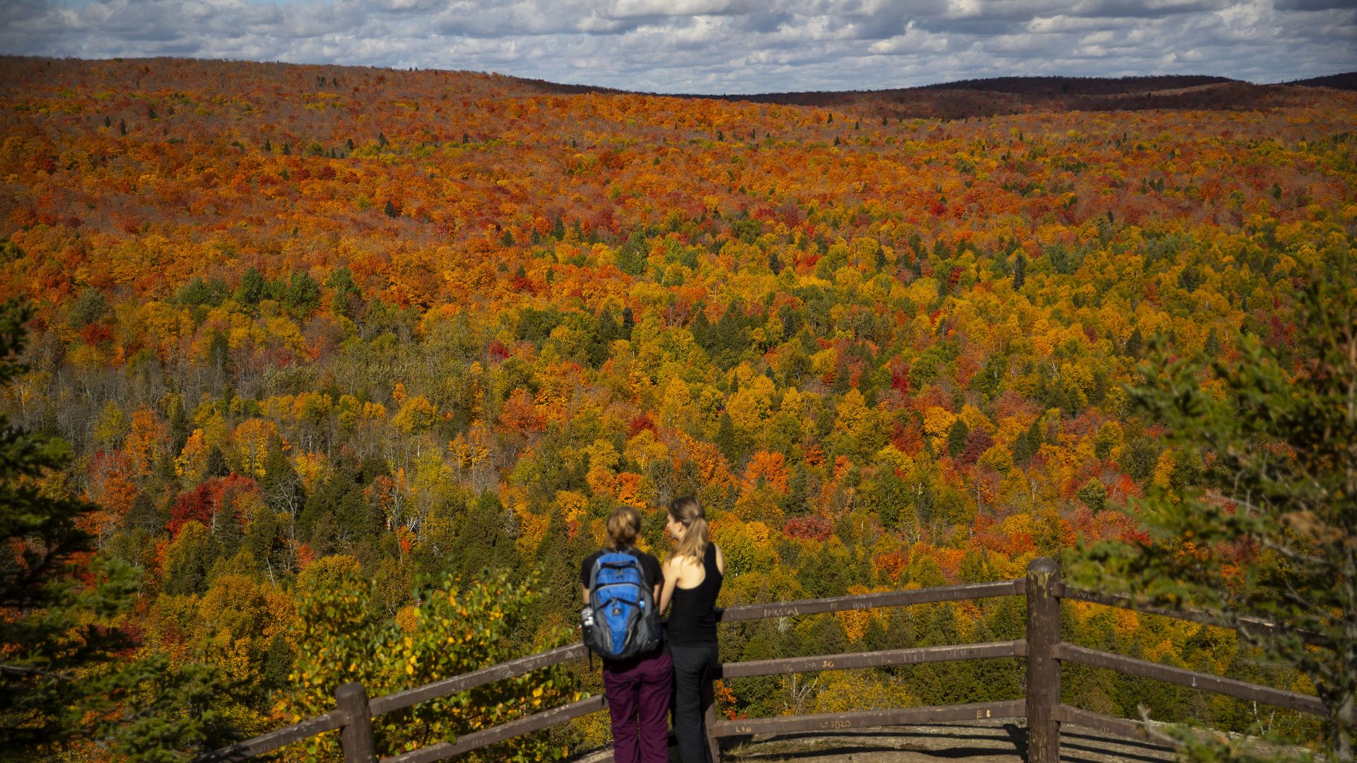 Minnesota fall leaf peeping trip guide - Axios Twin Cities