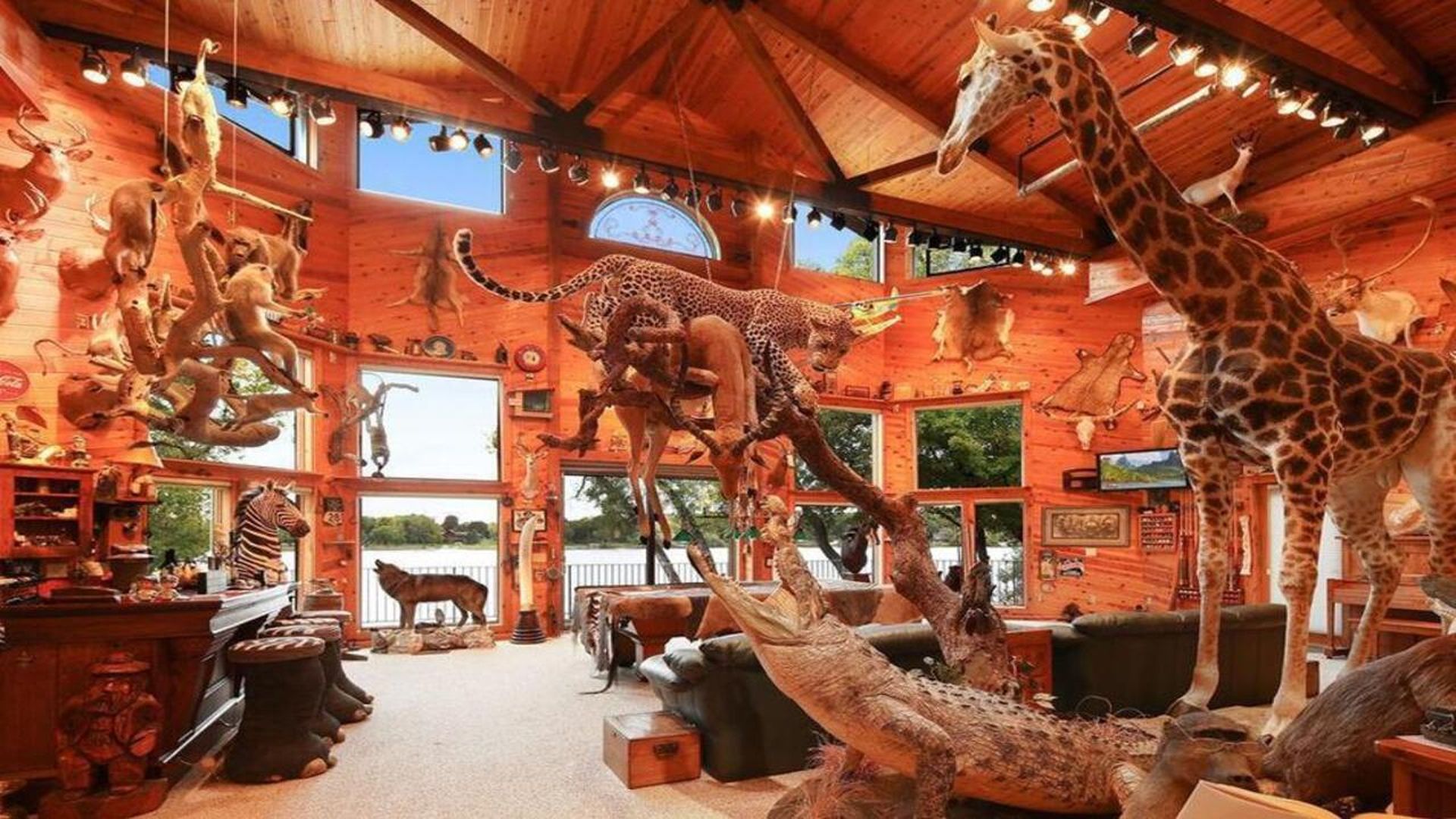 inside of zillow home filled with animals