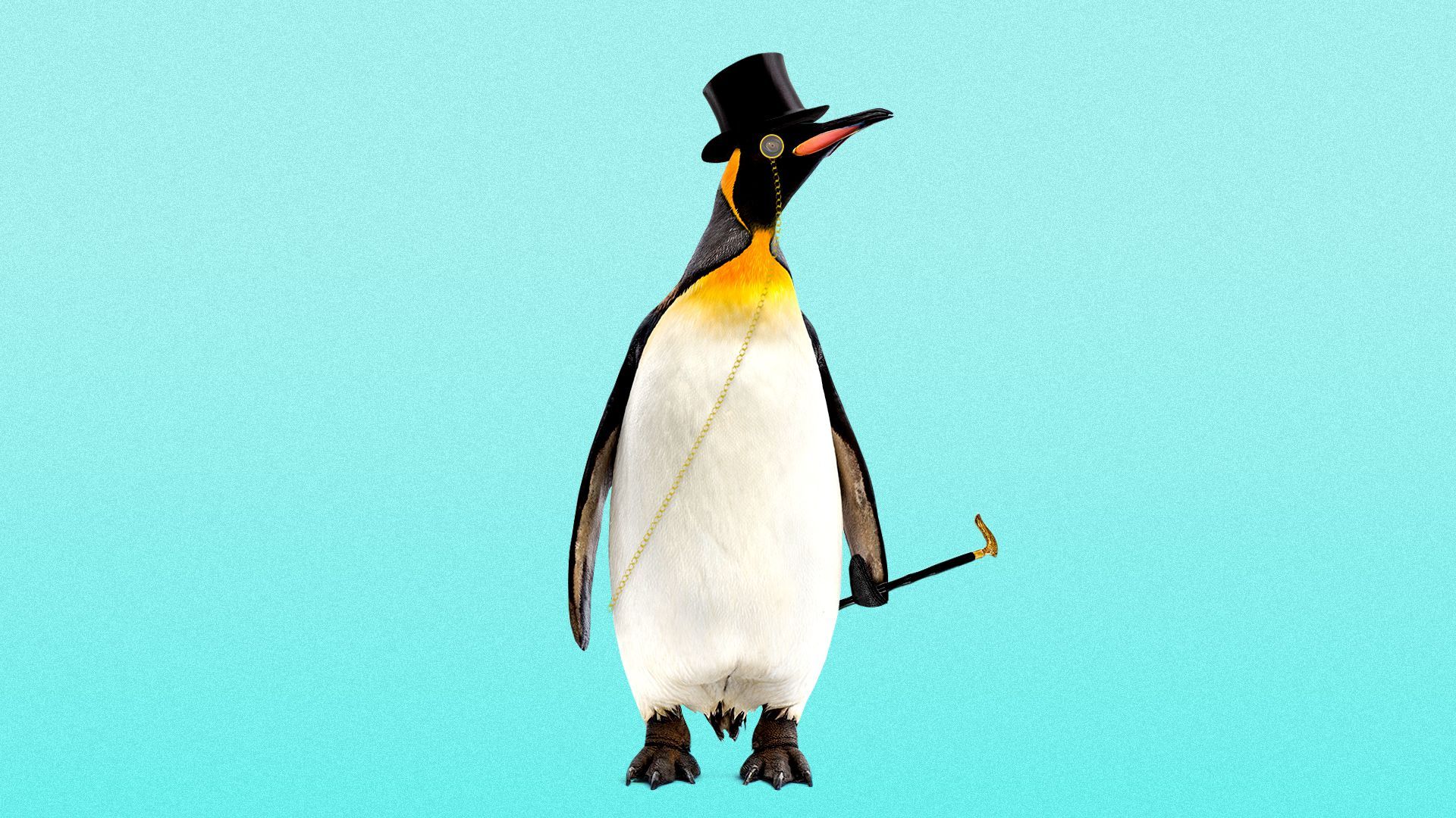 Illustration of a penguin wearing a top hat and monocle, and holding a fancy walking stick. 