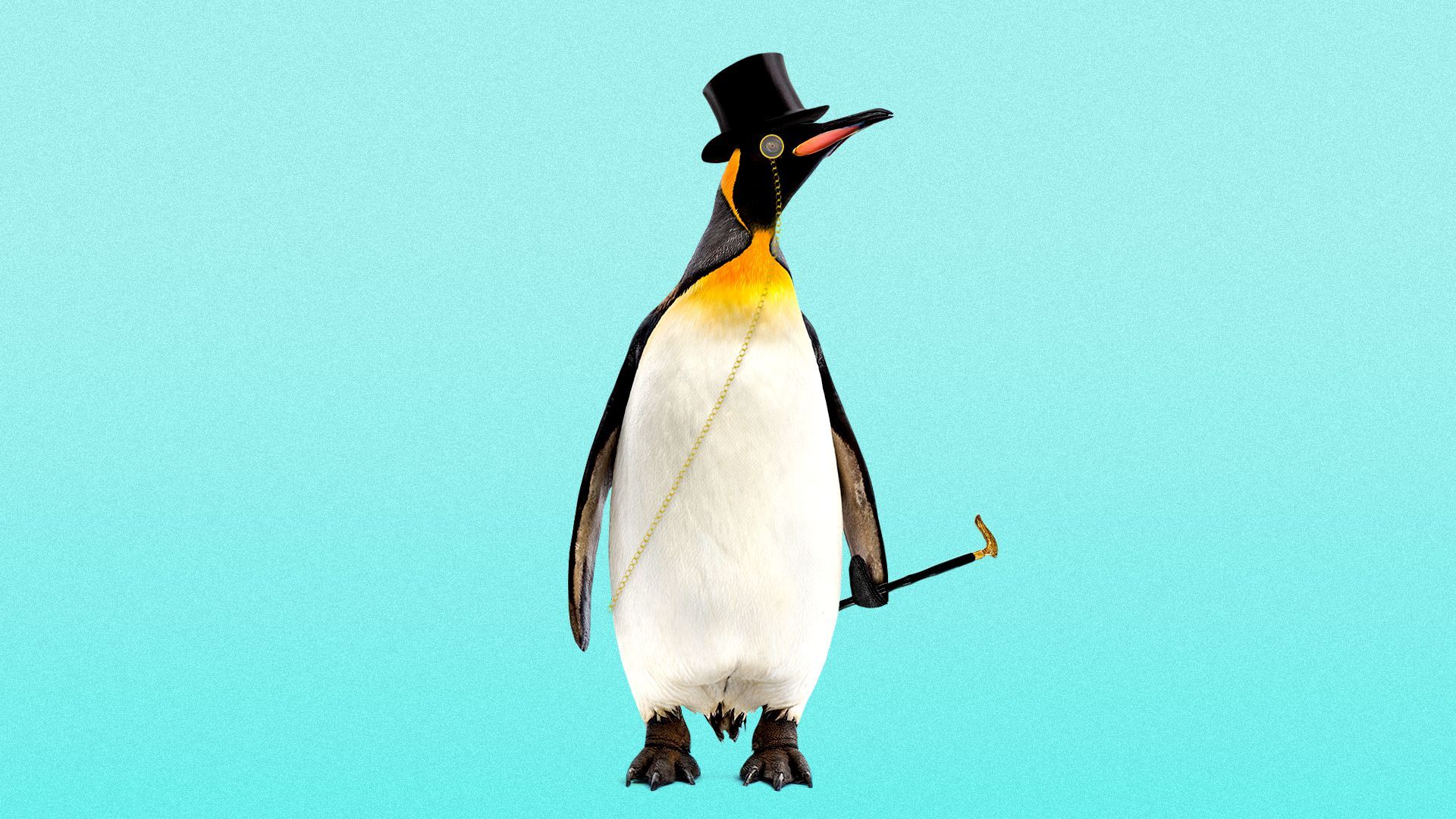 Illustration of a penguin wearing a top hat and monocle, and holding a fancy walking stick.