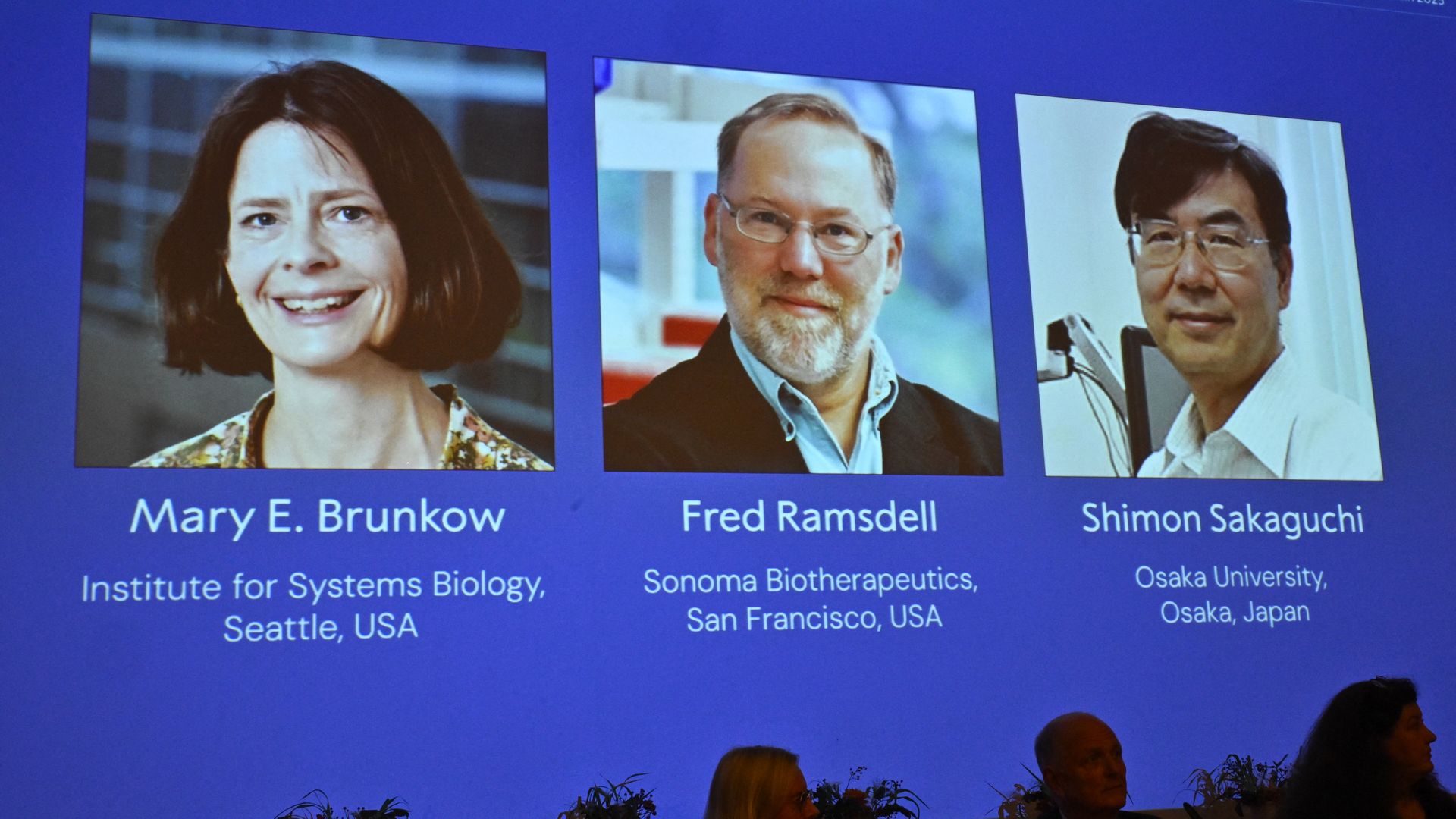 Projected images of Mary E. Brunkow, Fred Ramsdell, and Shimon Sakaguchi on a blue screen at a Nobel Prize event with audience silhouettes visible below.