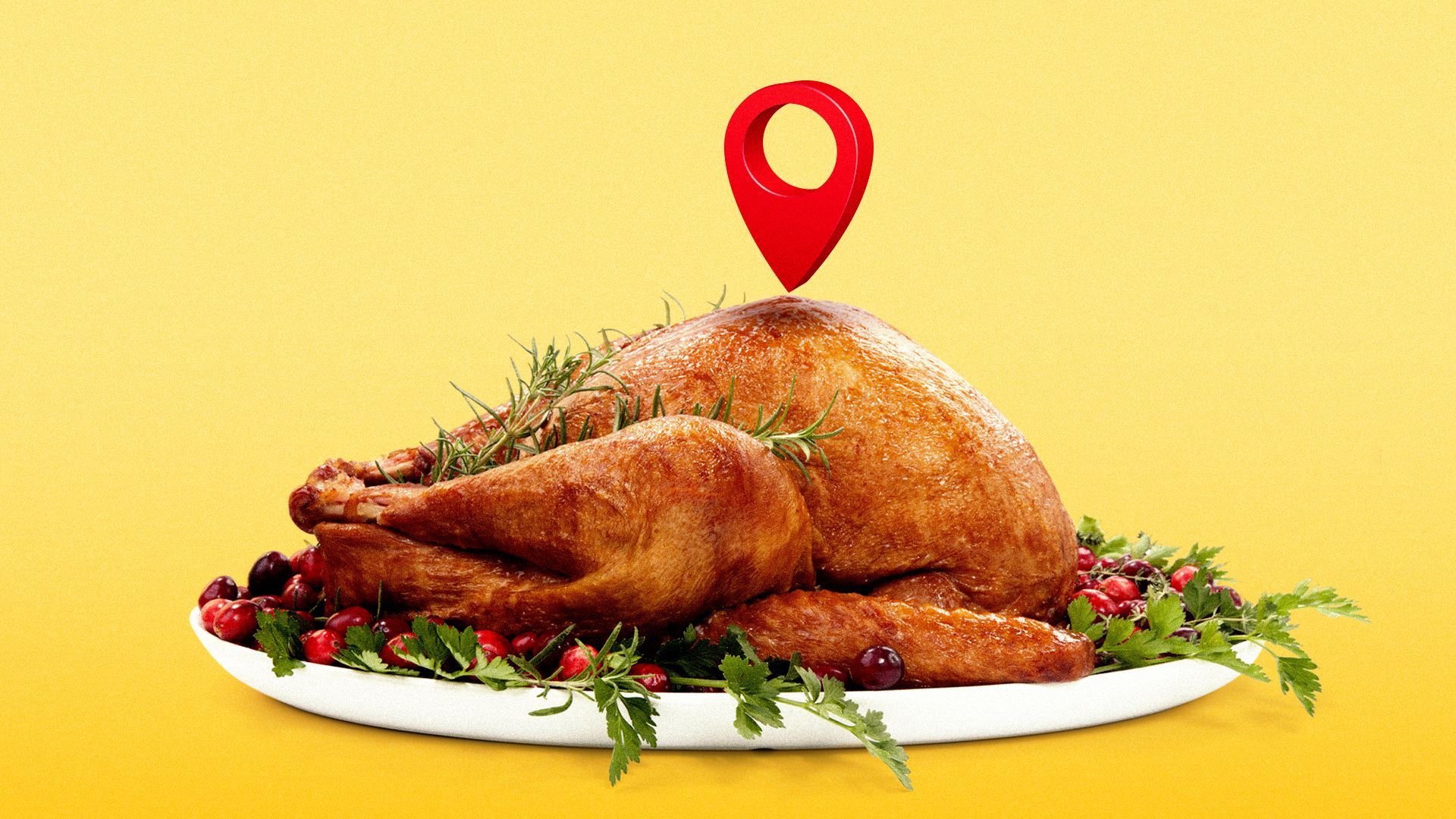 Illustration of a turkey with a navigation pin hovering above it.