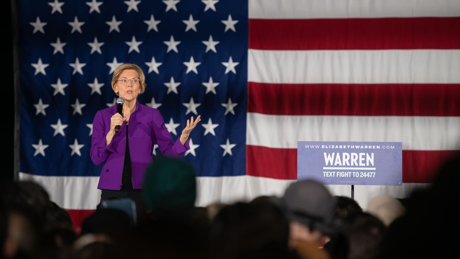 Senator Elizabeth Warren.