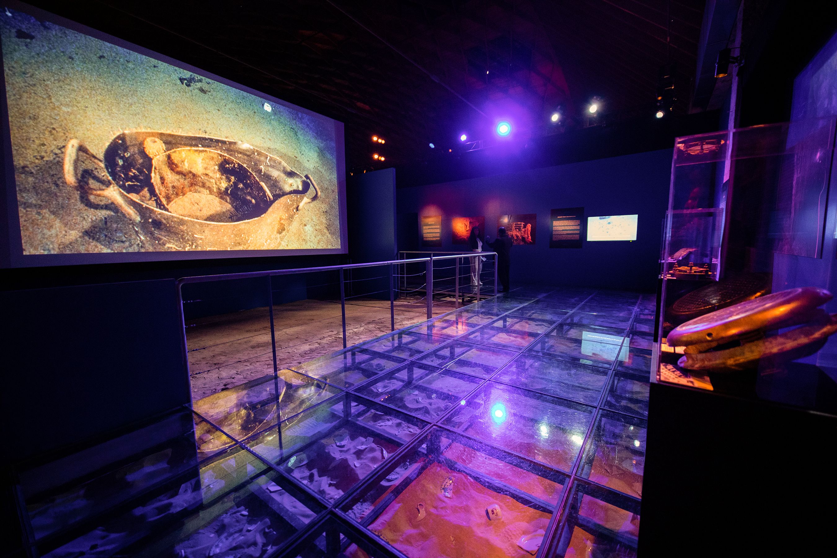 Dim museum gallery with a large projection of a sea turtle in a shell on the left, blue and purple lighting, glass floor panels, display cases, and visitors viewing wall displays.