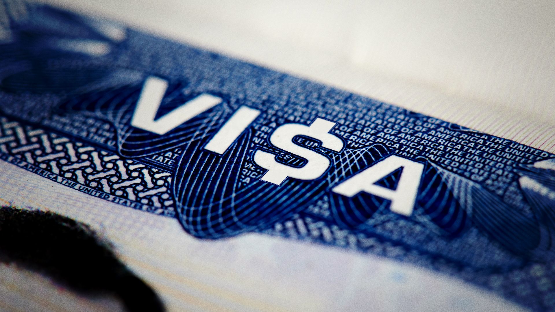 Illustration of an American Visa inside a passport, but the S is replaced with a dollar sign. 