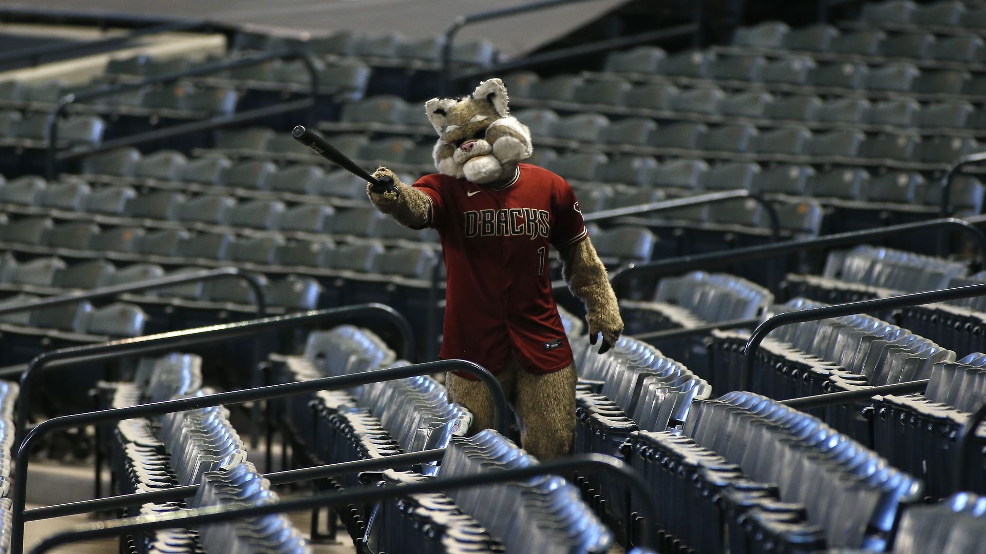 Arizona Diamondbacks team mascot Baxter the Bobcat wanders the empty stadium.