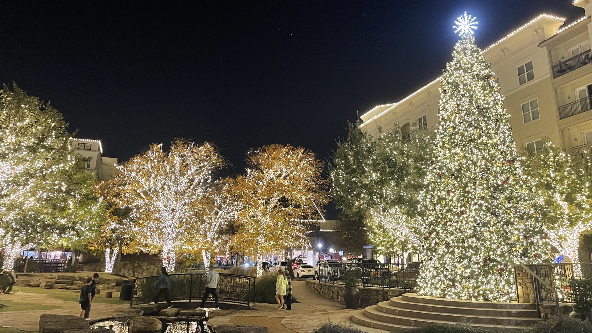 A Christmas tree and a lot of twinkling lights a shopping center