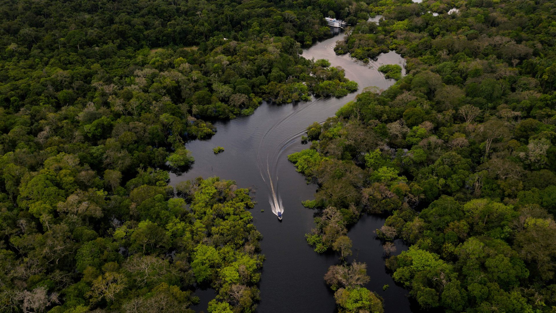 This image is a boat going through a river in the Amazon